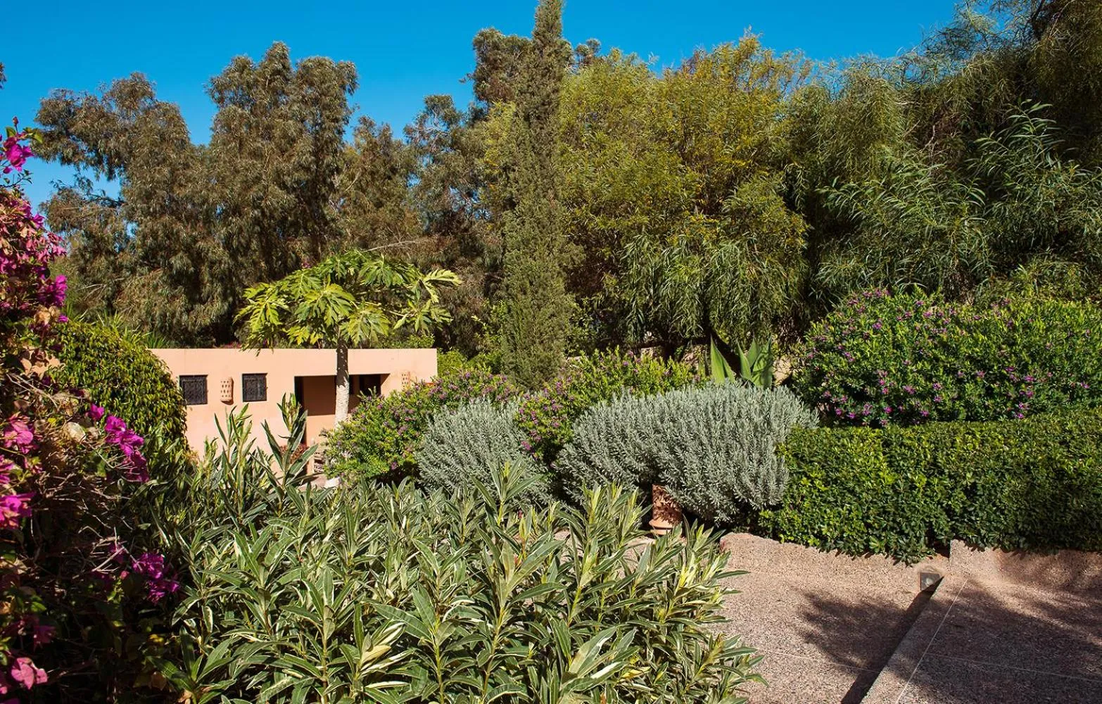 Garden in Dar Maktoub