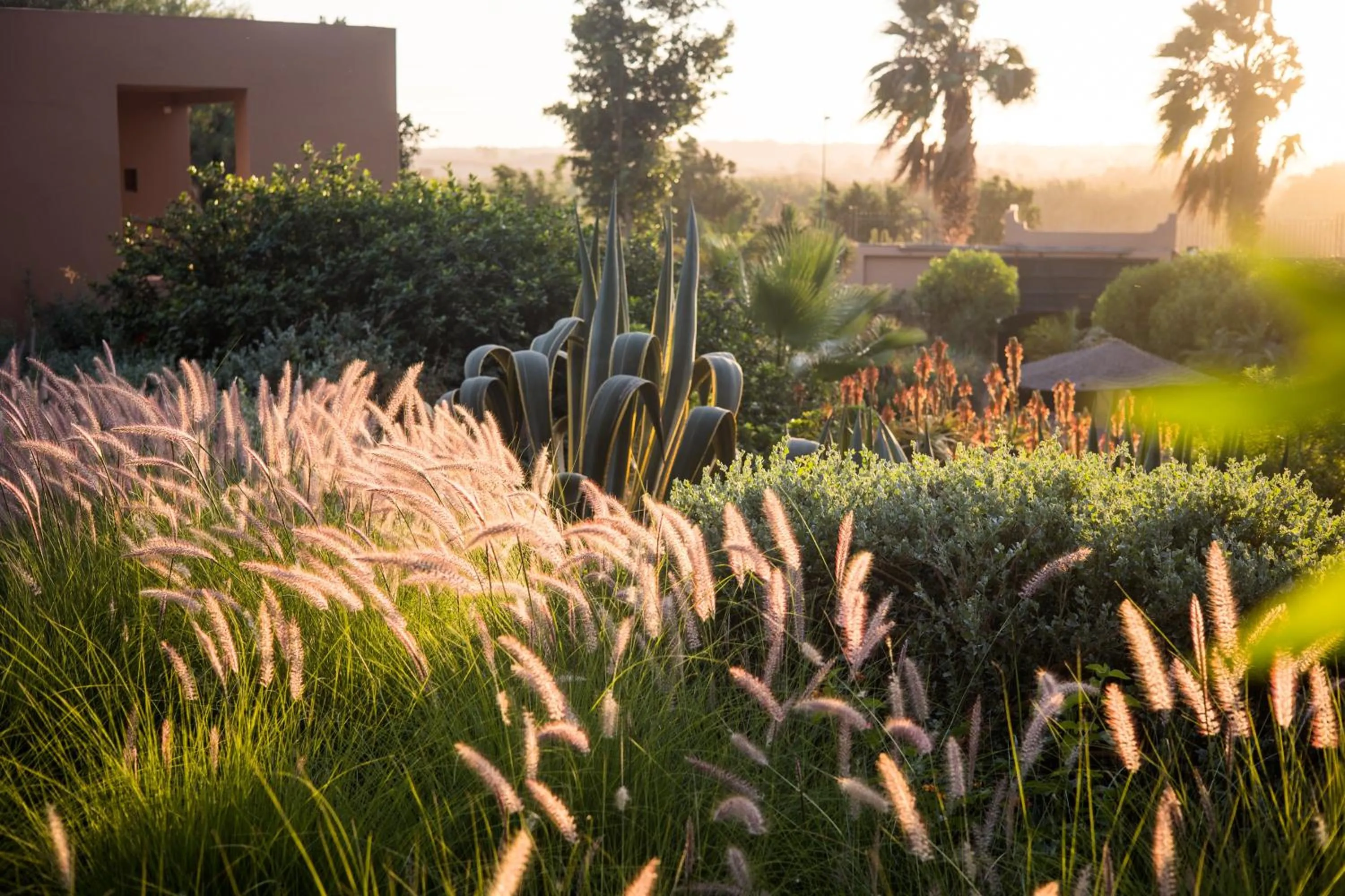 Property building in Dar Maktoub