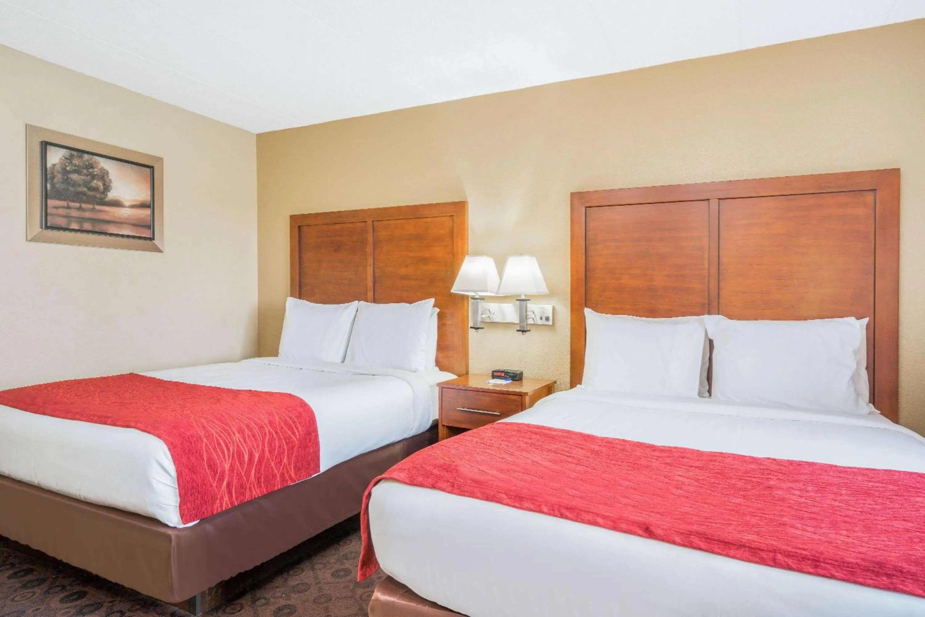 Photo of the whole room, Bed in Baymont by Wyndham Kasson Rochester Area