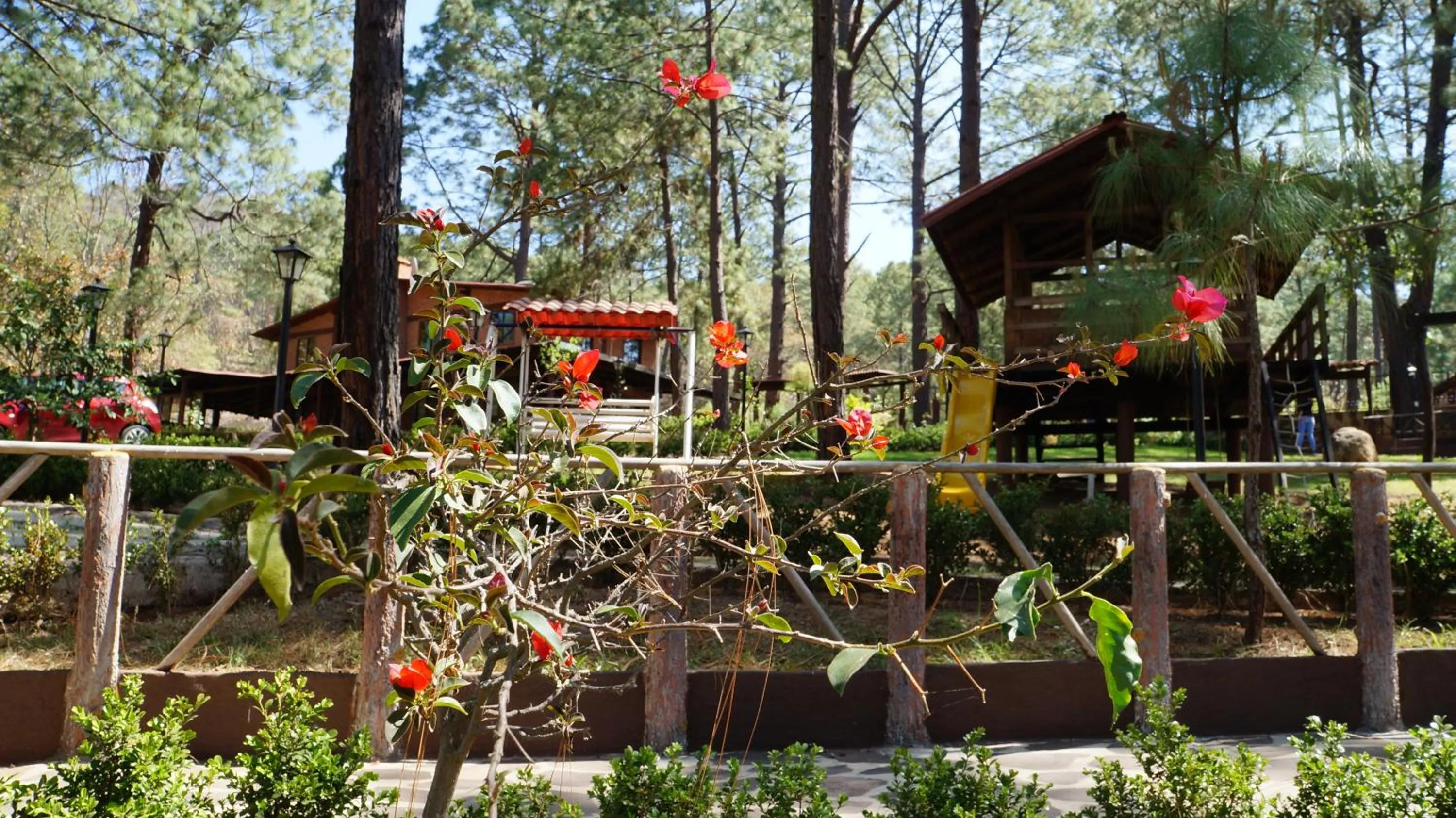 Property building in Rincón del Bosque