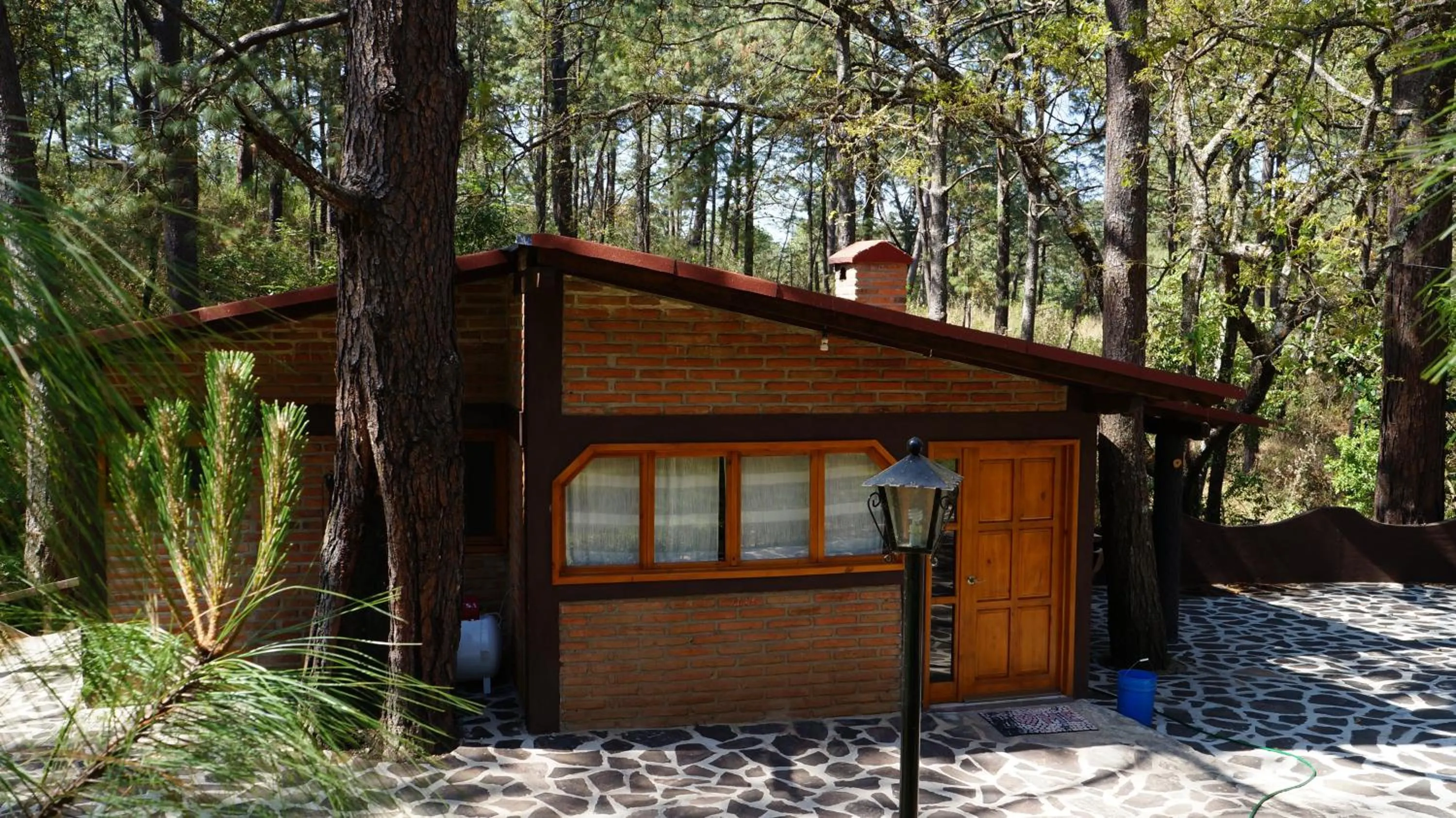 Property building in Rincón del Bosque