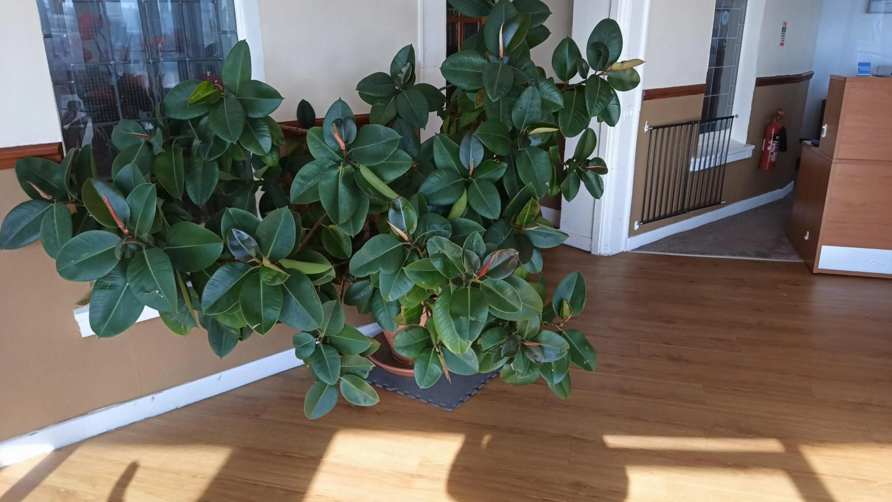 Lobby or reception in The Waldorf - Near Pleasure Beach & Sandcastle