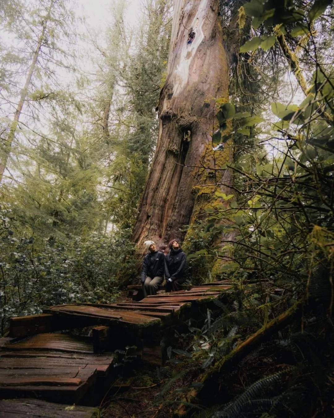 Activities in Tofino Resort + Marina