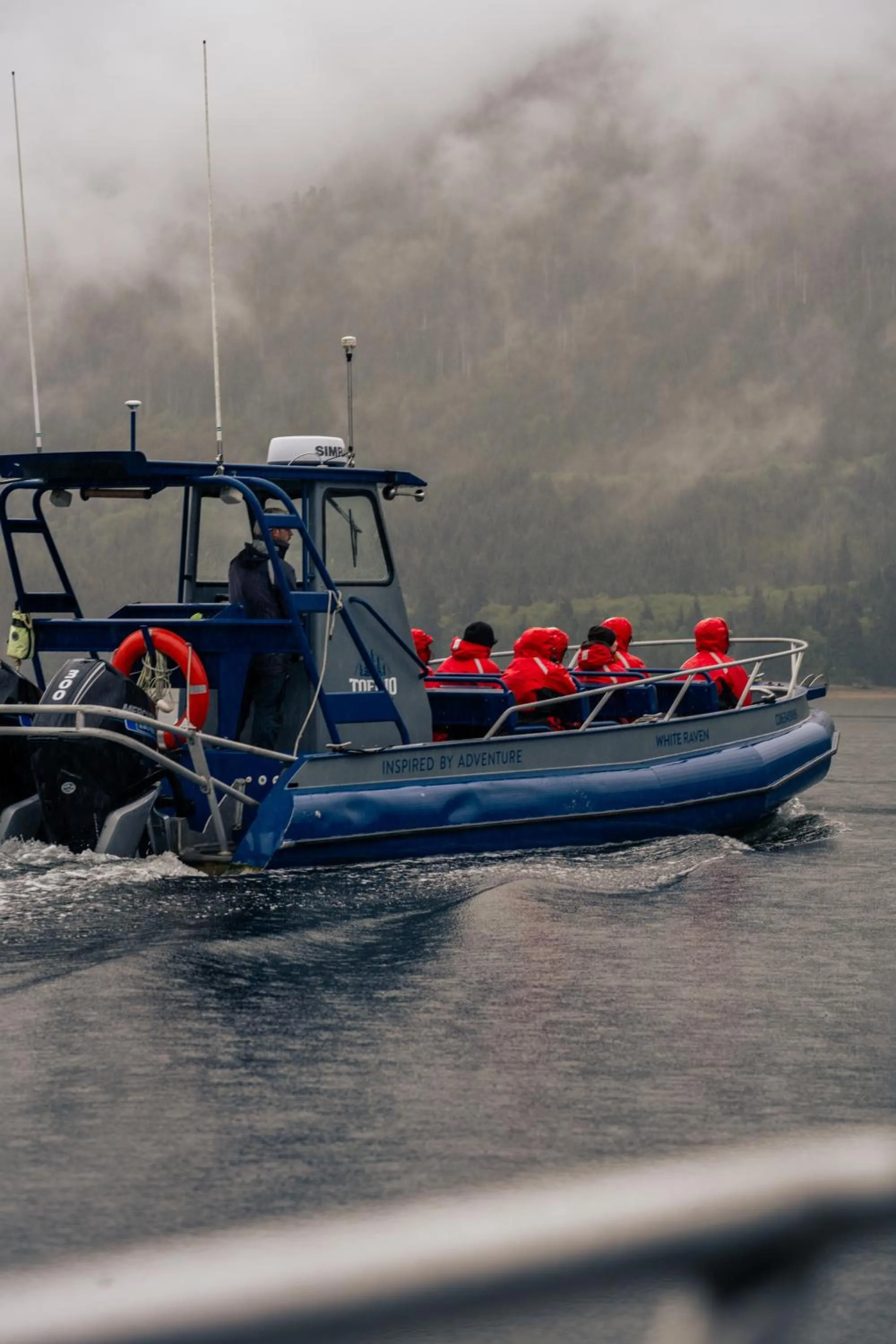 Activities in Tofino Resort + Marina