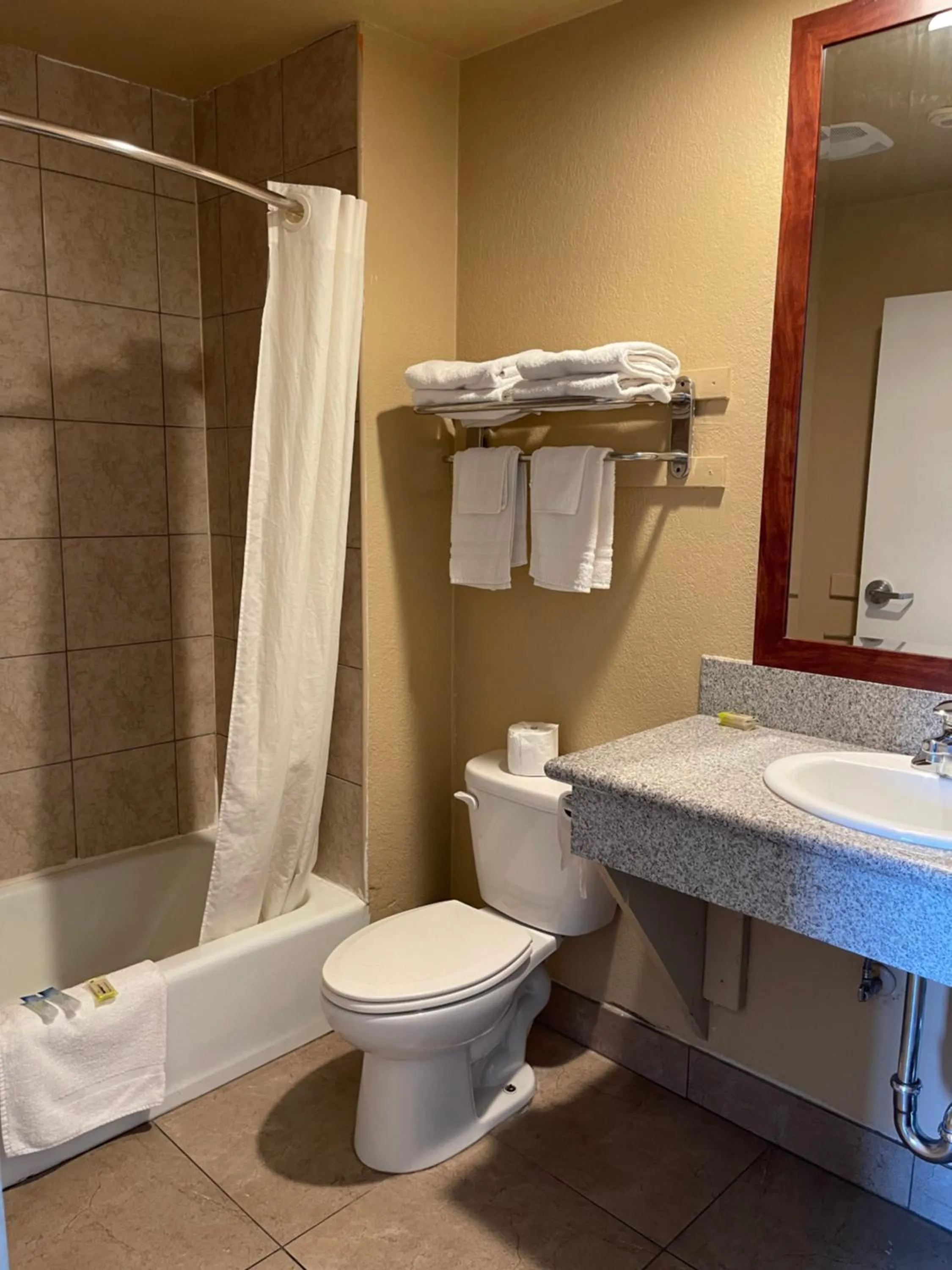 Toilet in Arlington Inn