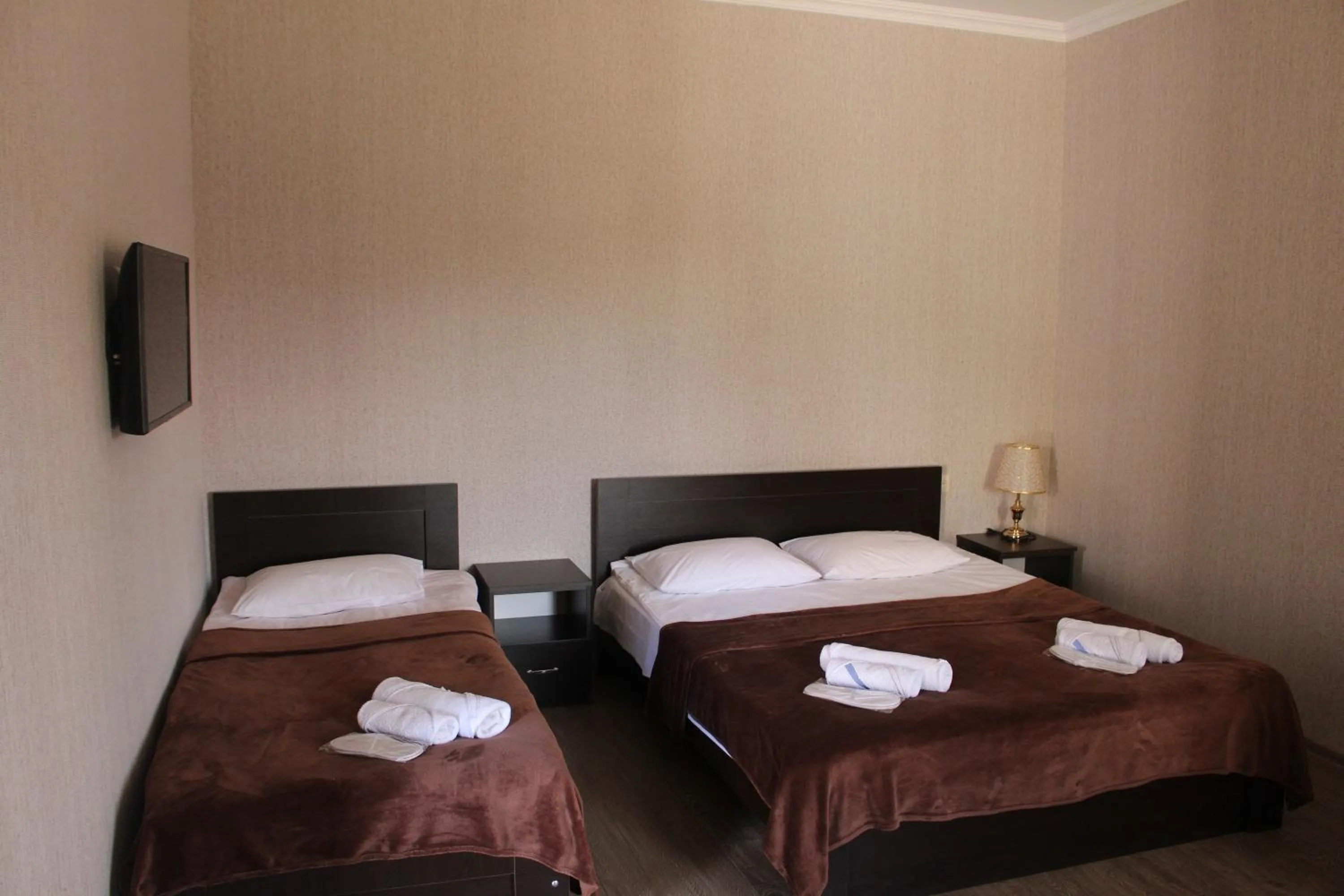 Economy Triple Room in Hotel Rabati