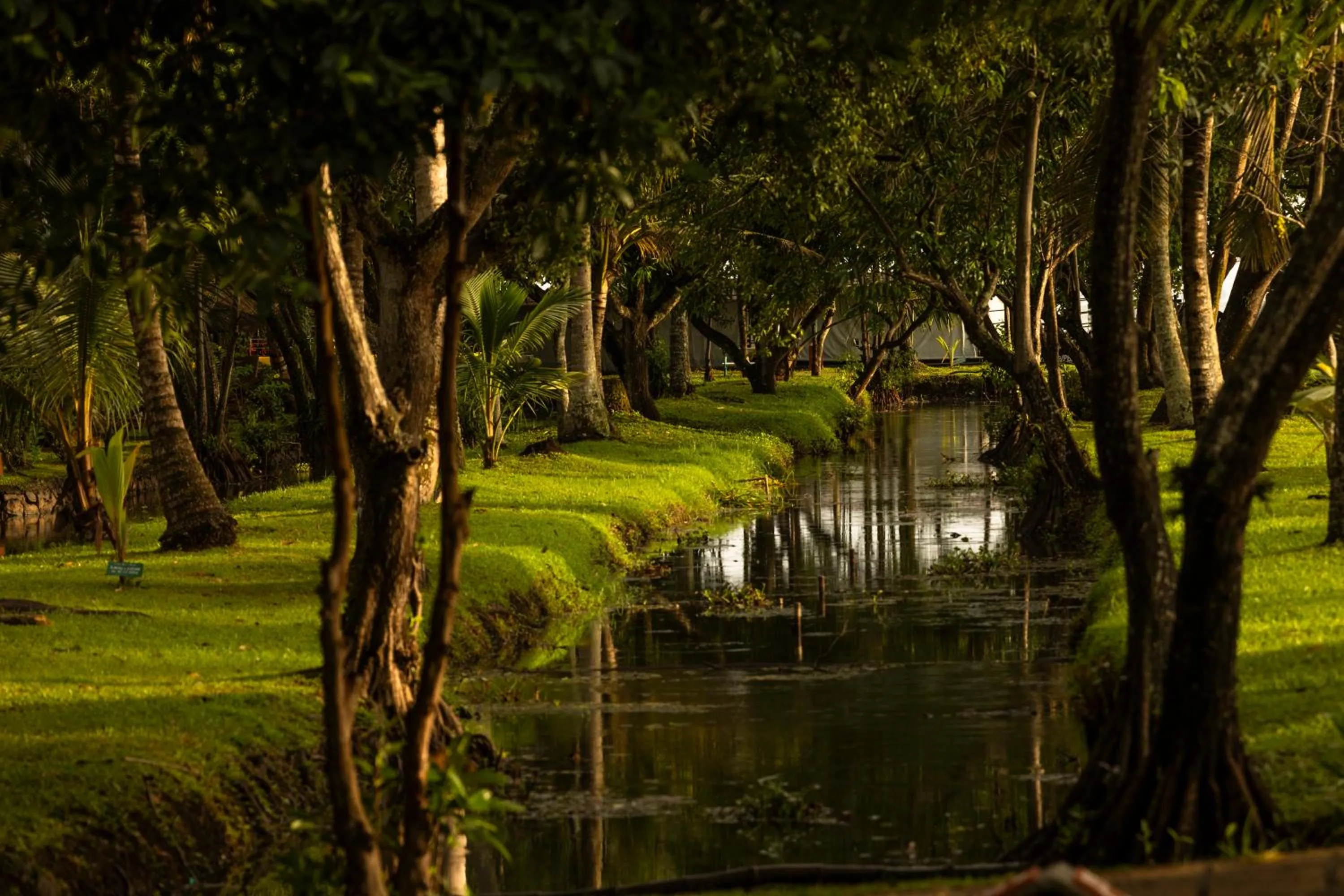 Natural landscape in Coconut Lagoon Kumarakom - A CGH Earth Experience