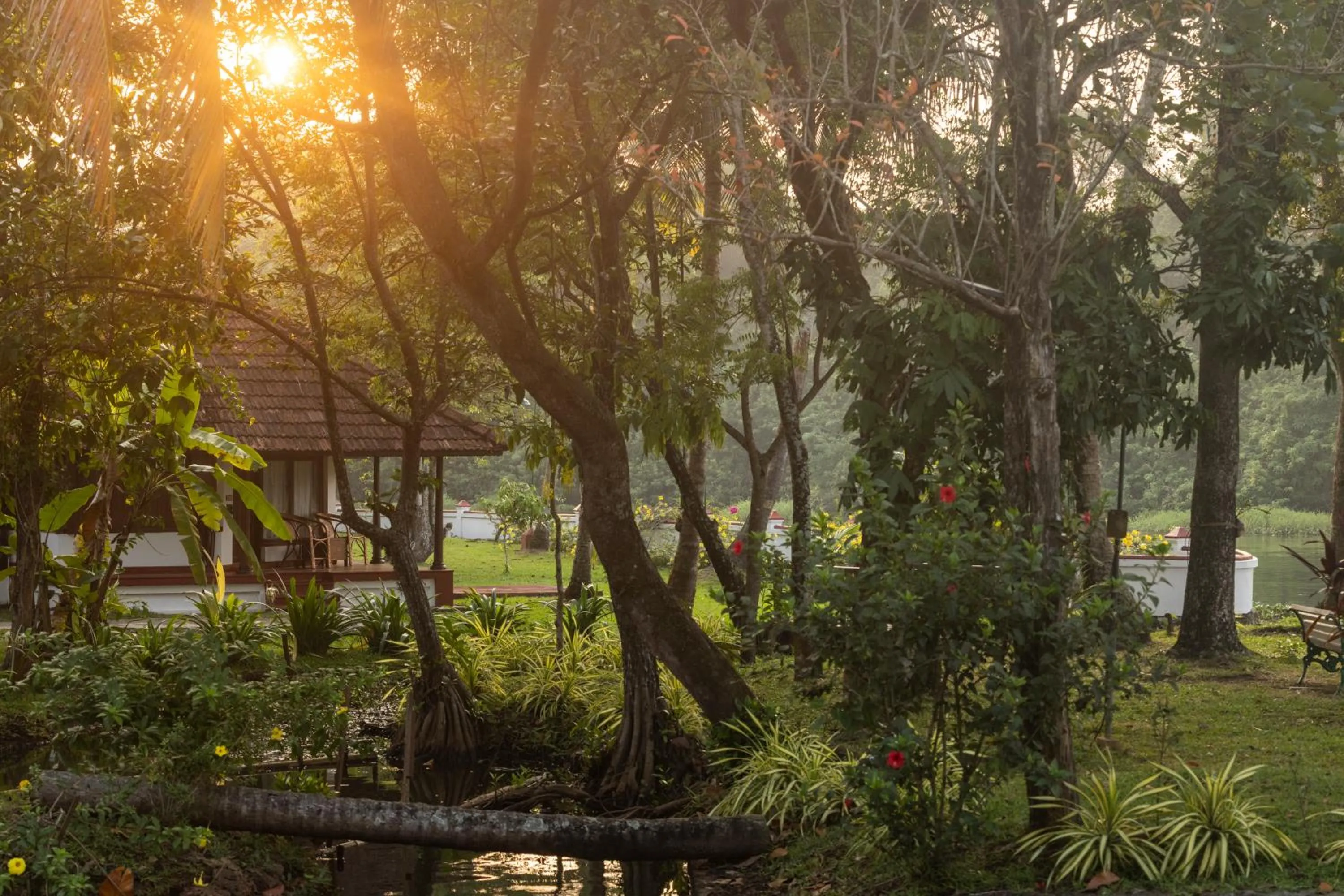 Natural landscape in Coconut Lagoon Kumarakom - A CGH Earth Experience