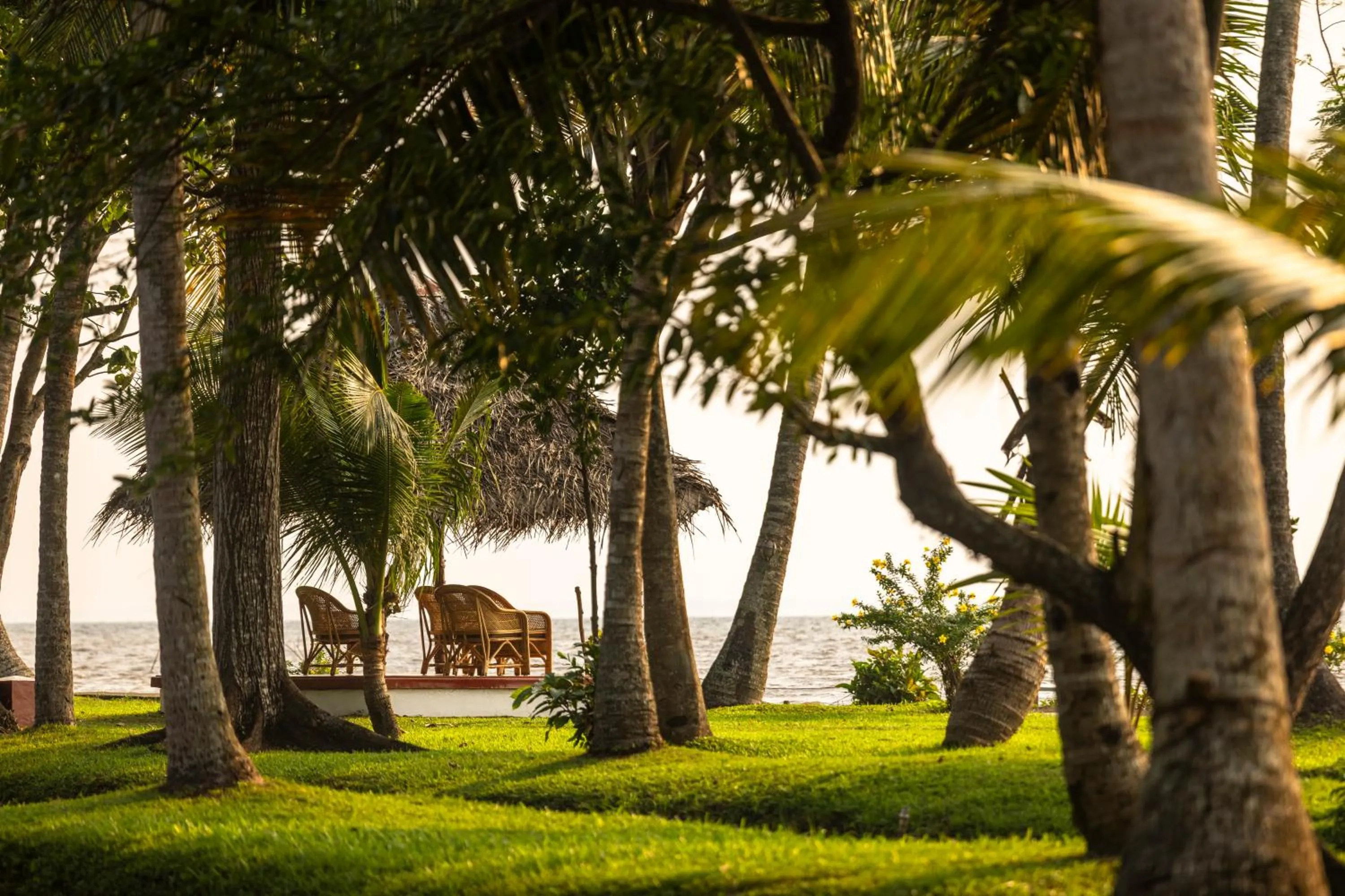 Natural landscape in Coconut Lagoon Kumarakom - A CGH Earth Experience