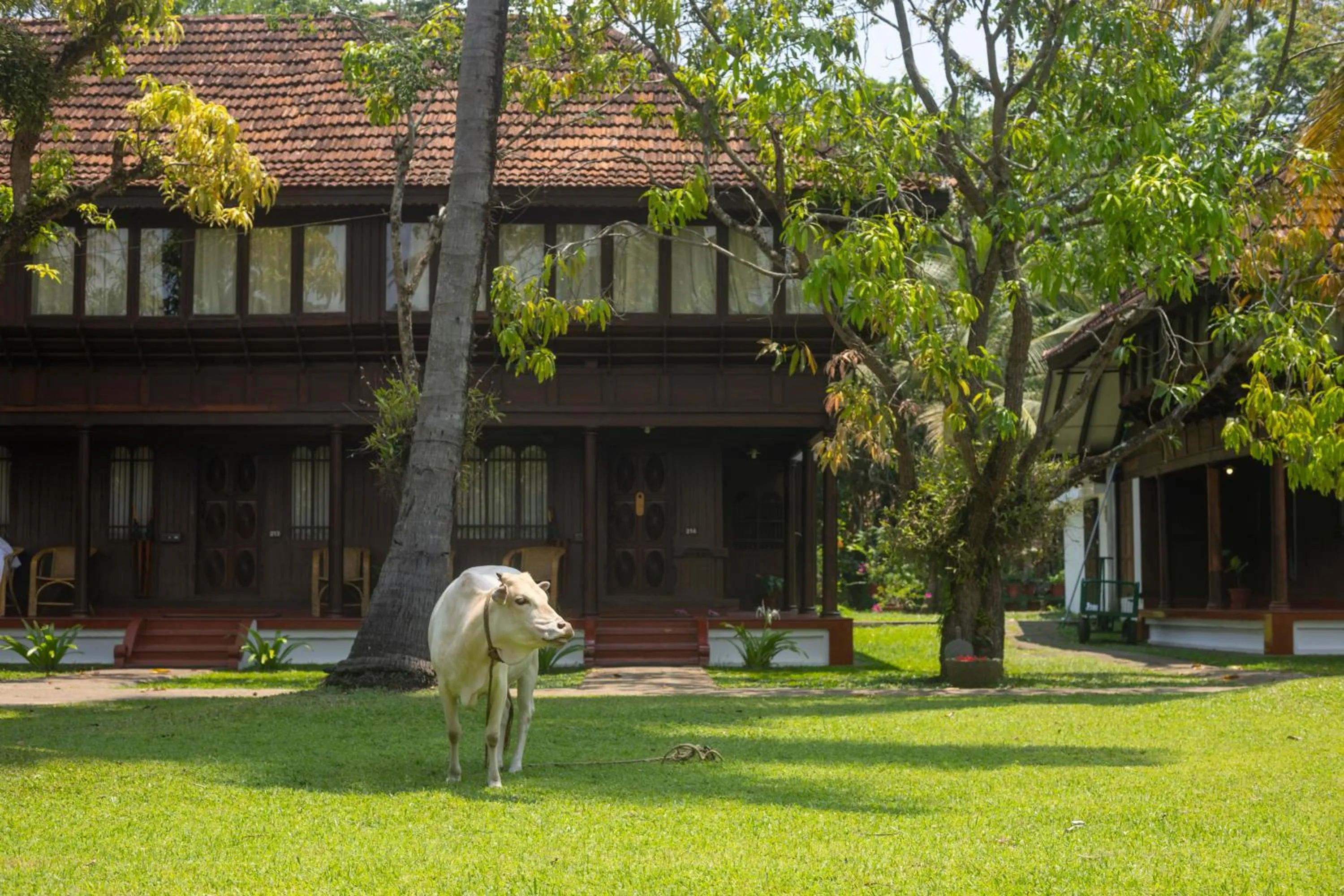 Natural landscape in Coconut Lagoon Kumarakom - A CGH Earth Experience