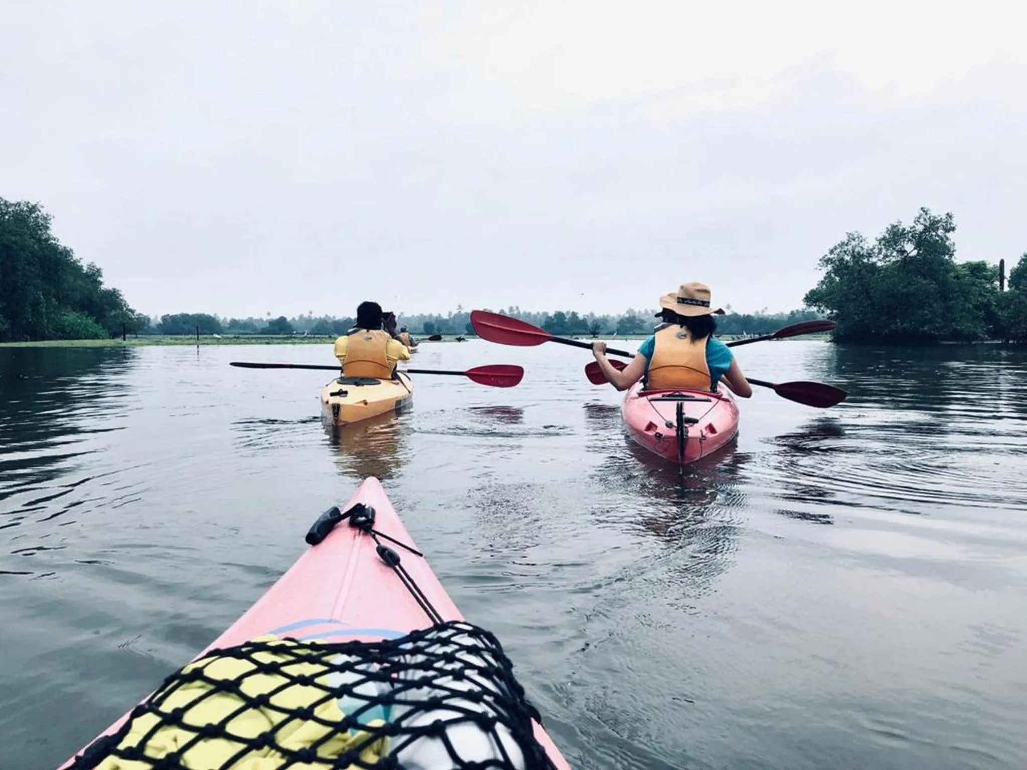 Activities in Coconut Lagoon Kumarakom - A CGH Earth Experience