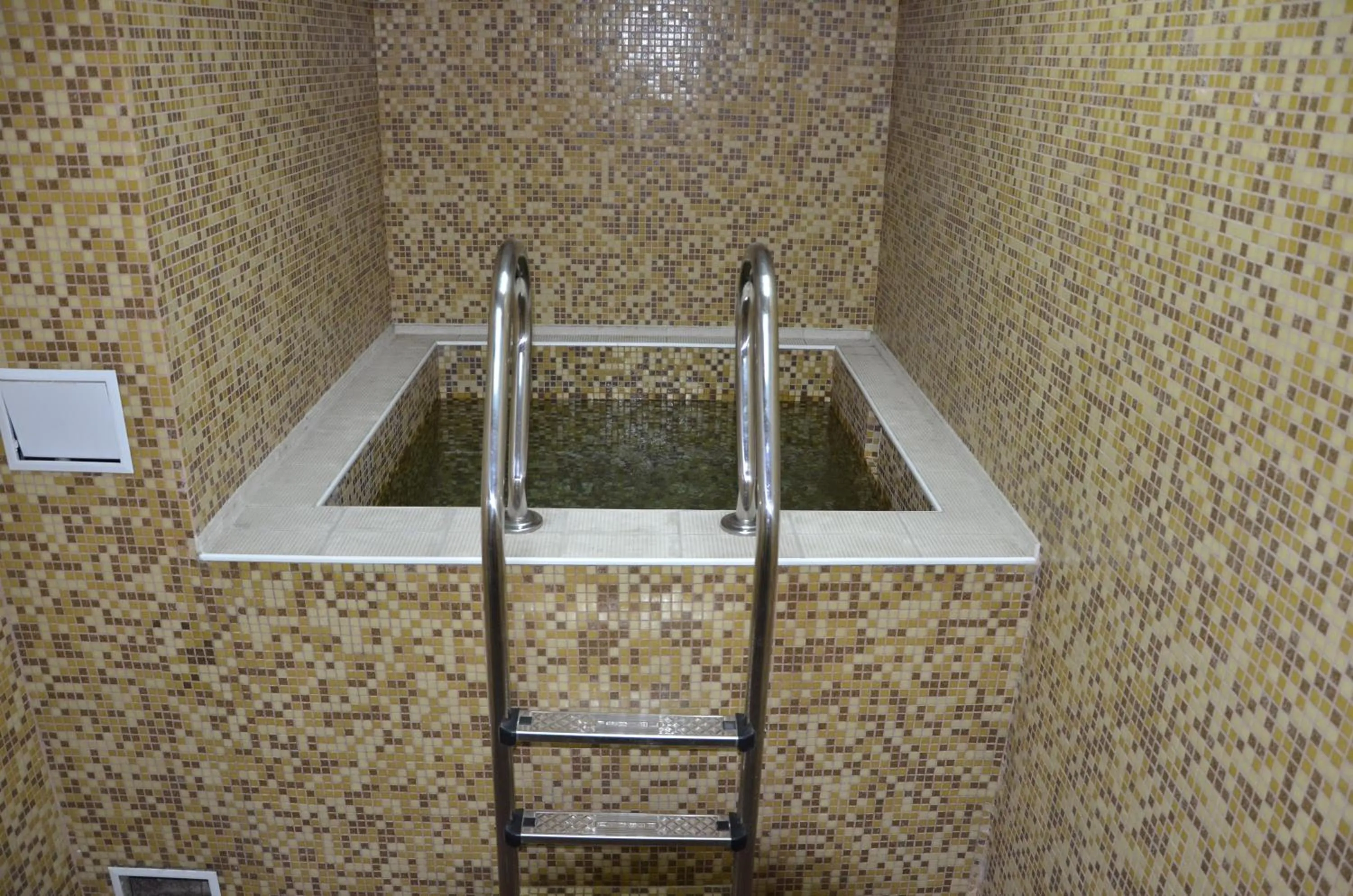 Spa and wellness centre/facilities in Olymp Hotel