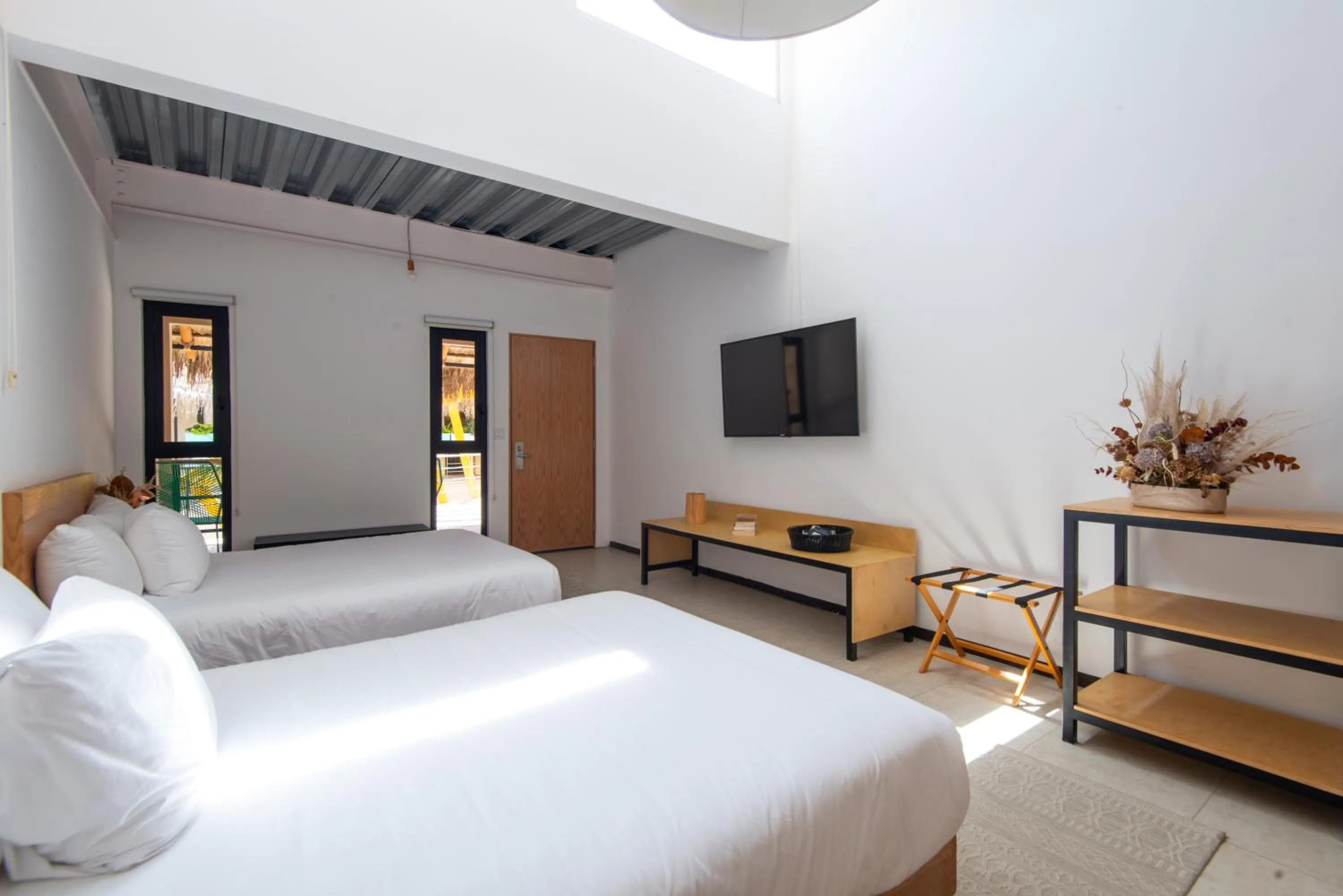 Photo of the whole room, Bed in Mayan Monkey Los Cabos - Social Hotel