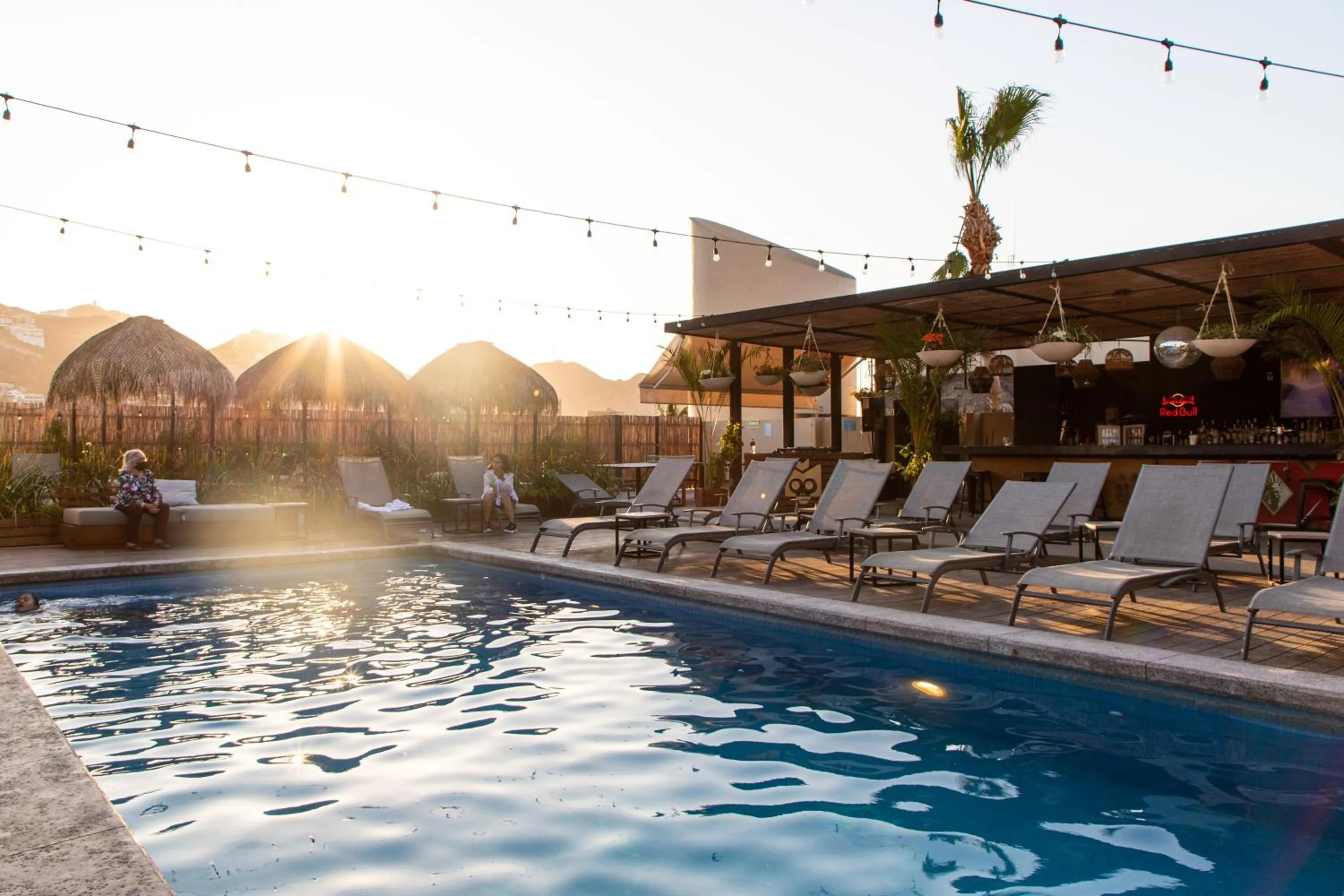 Swimming pool in Mayan Monkey Los Cabos - Social Hotel