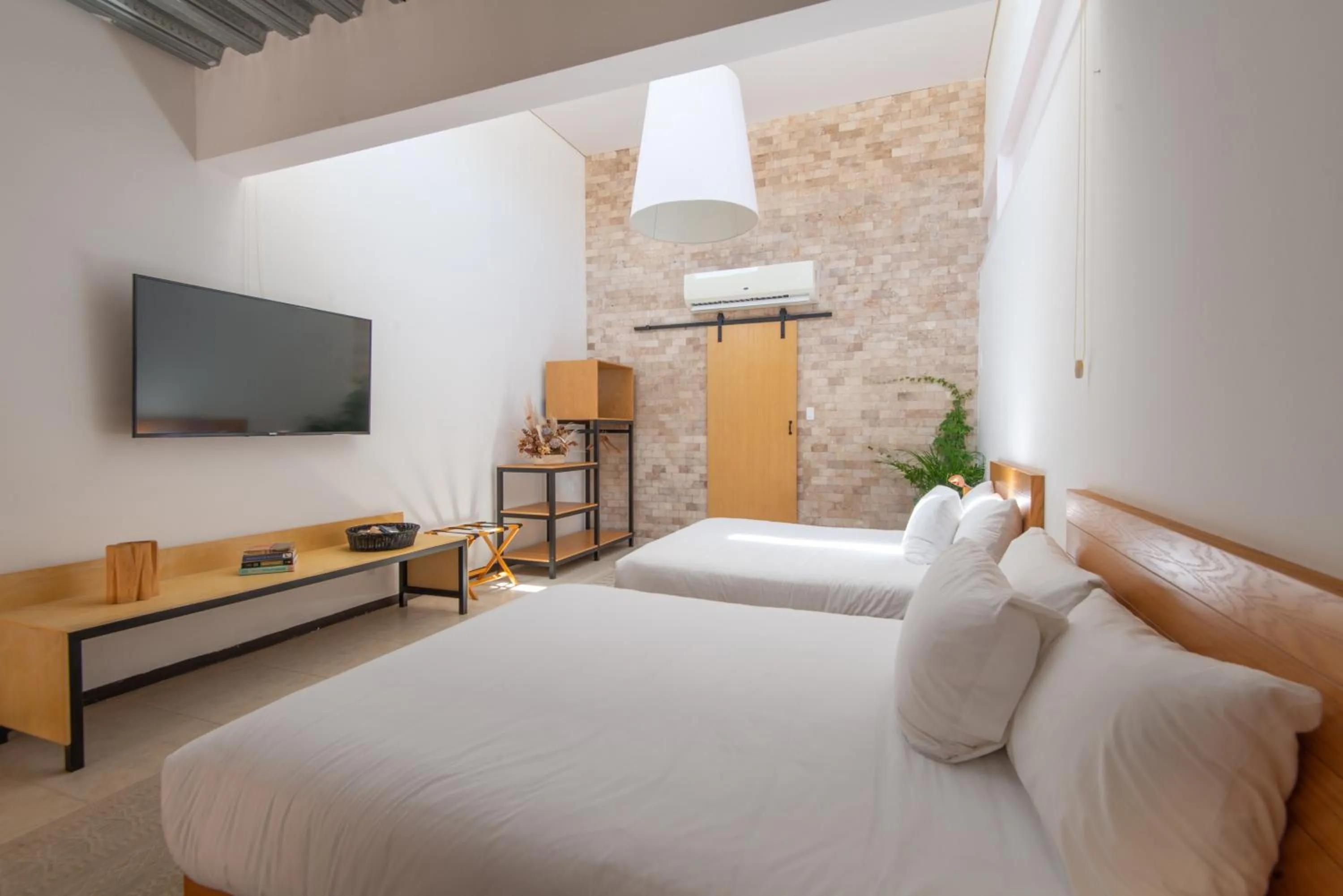 Photo of the whole room, Bed in Mayan Monkey Los Cabos - Social Hotel