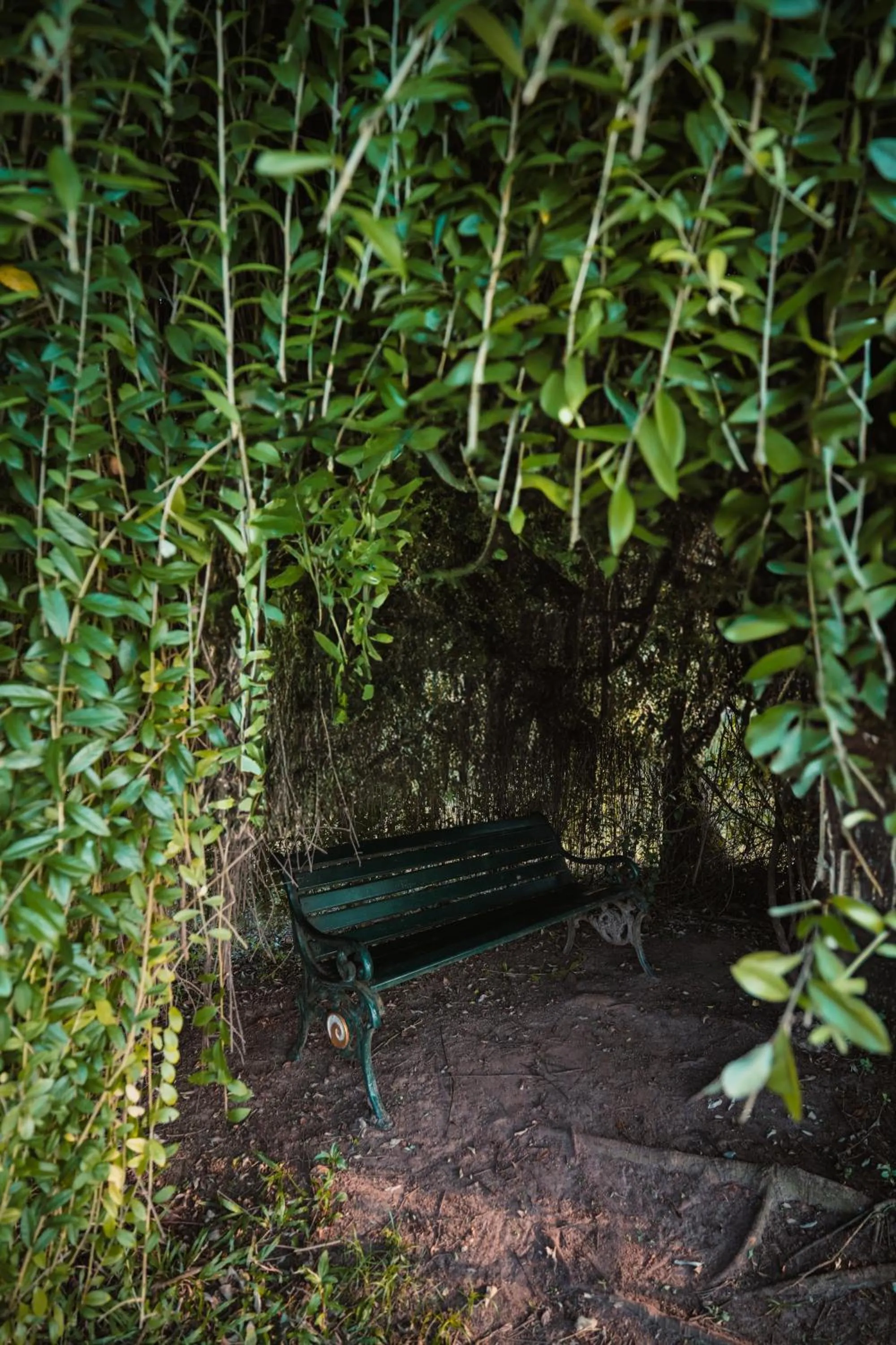 Spring in Lakesong Resort