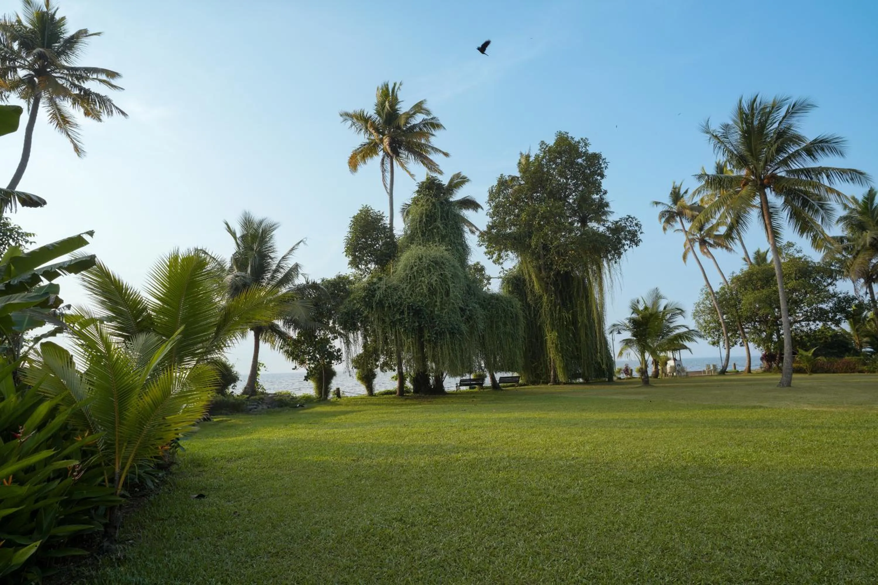 Spring in Lakesong Resort