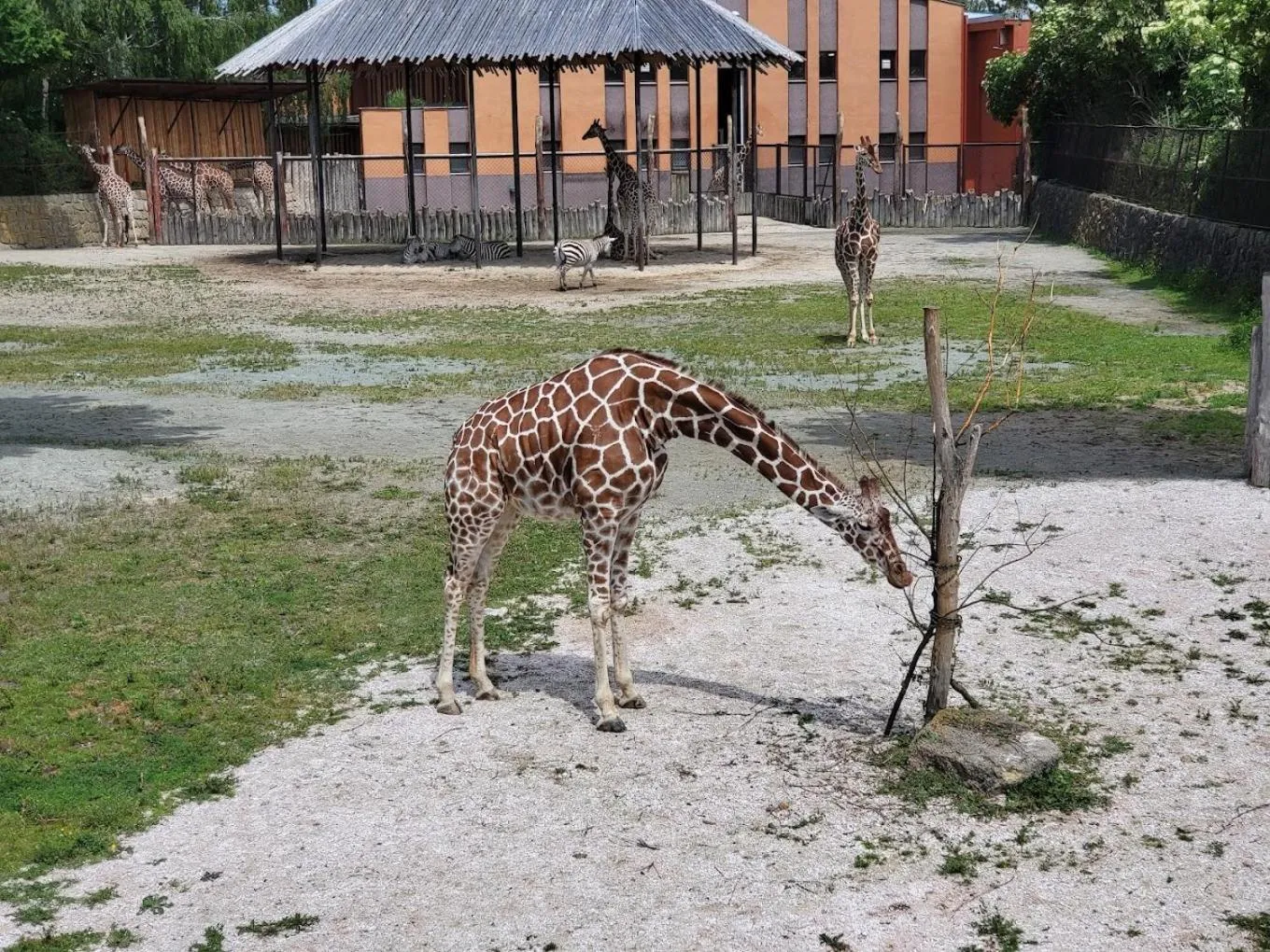 Hiking in Hotel U Beránka Náchod