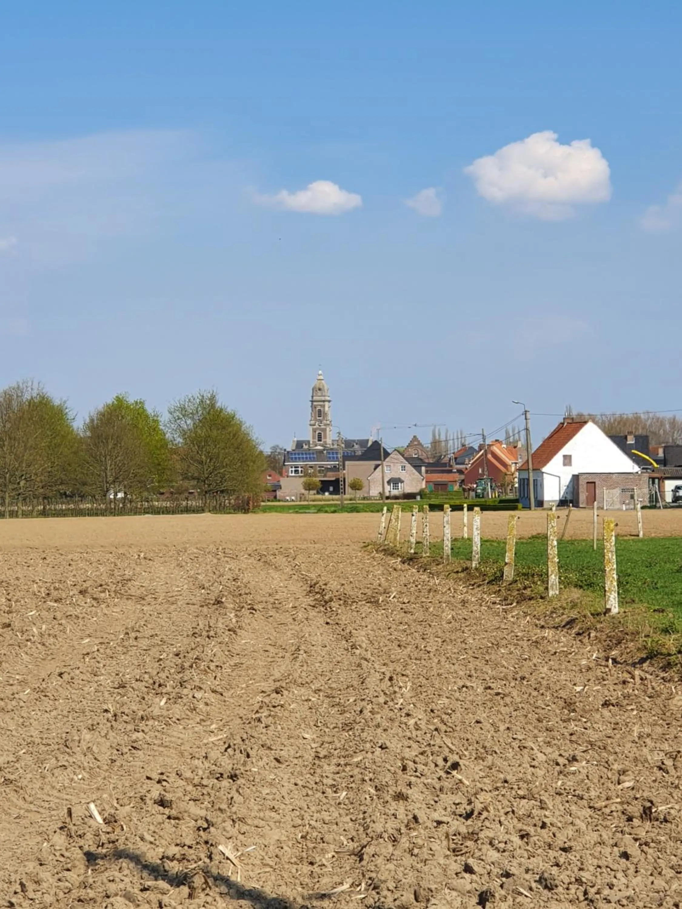 Neighbourhood in B&B Kanegem Onverbloemd