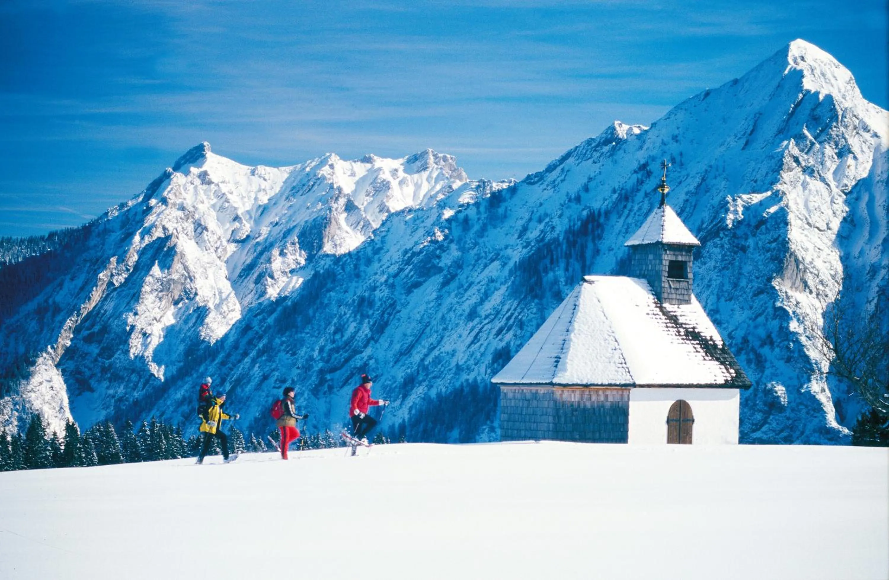 Neighbourhood in Wolf & Schaf Apartments