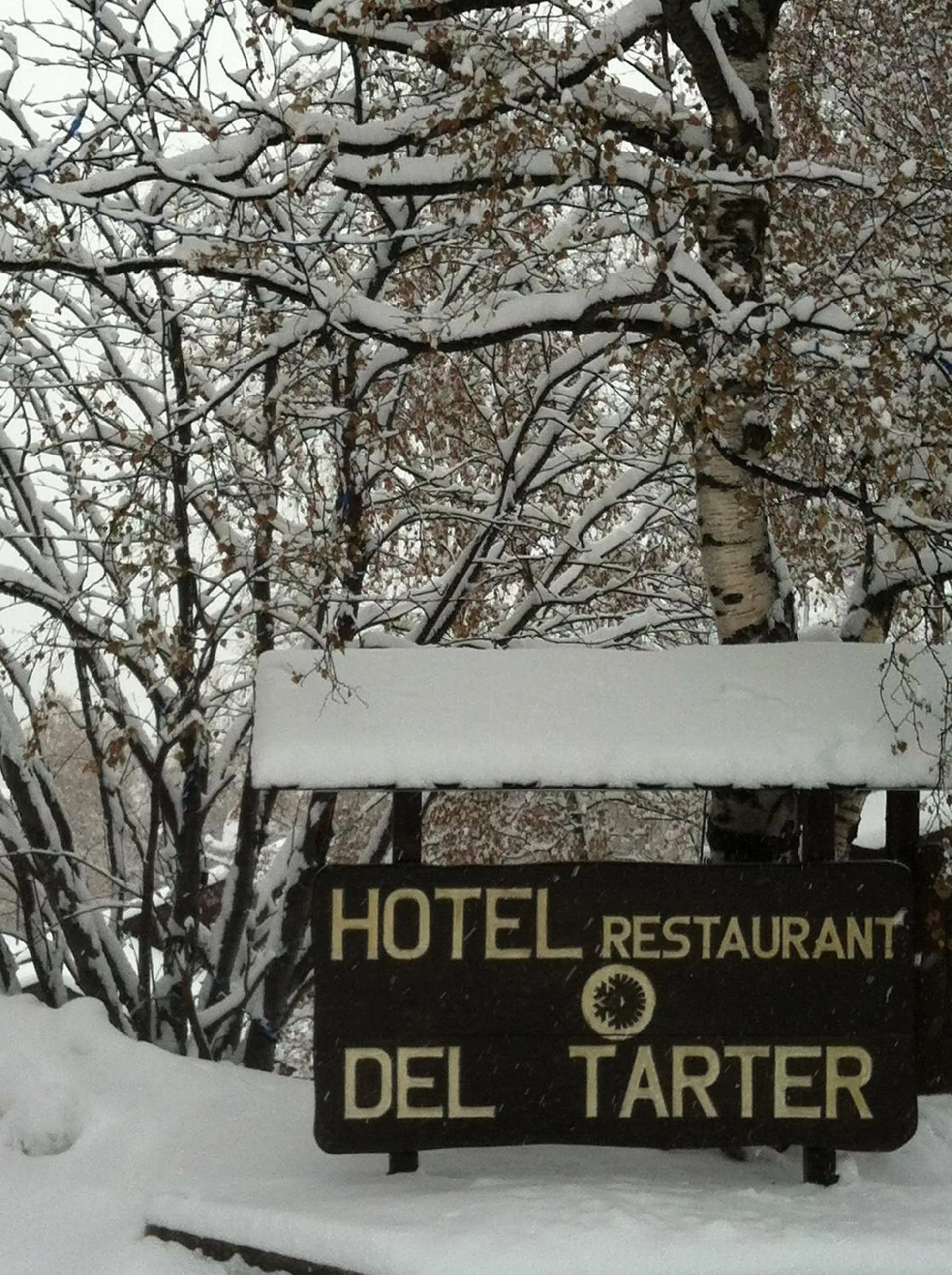 Property logo or sign in Hotel del Tarter
