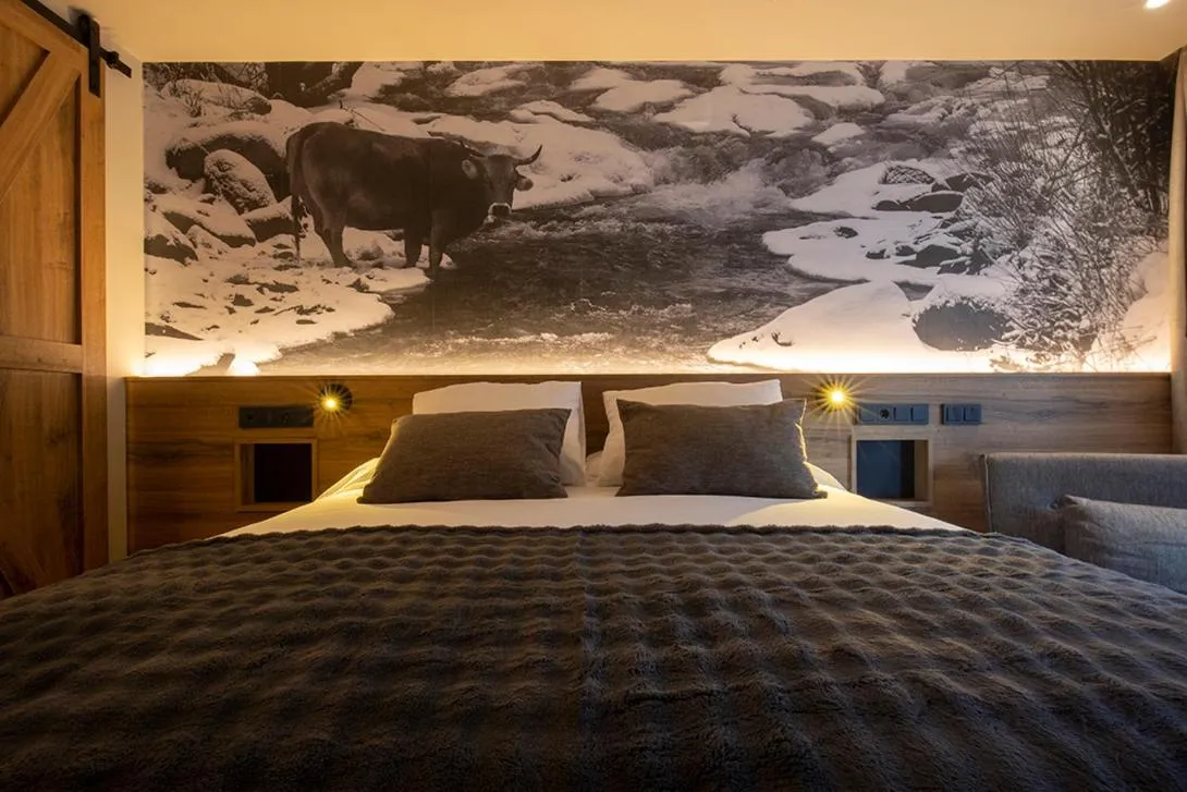Bed in Hotel del Tarter