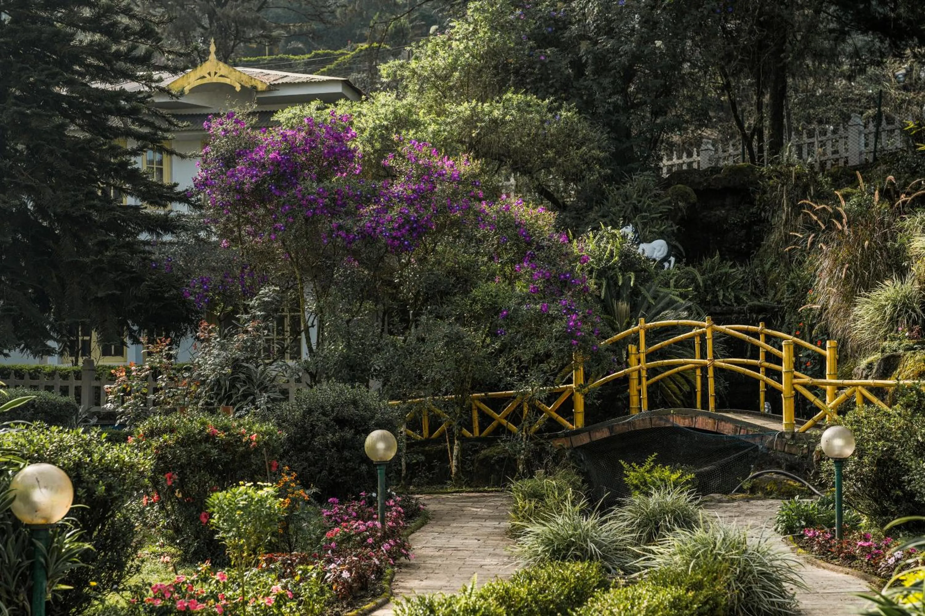 Spring in Eastend Munnar