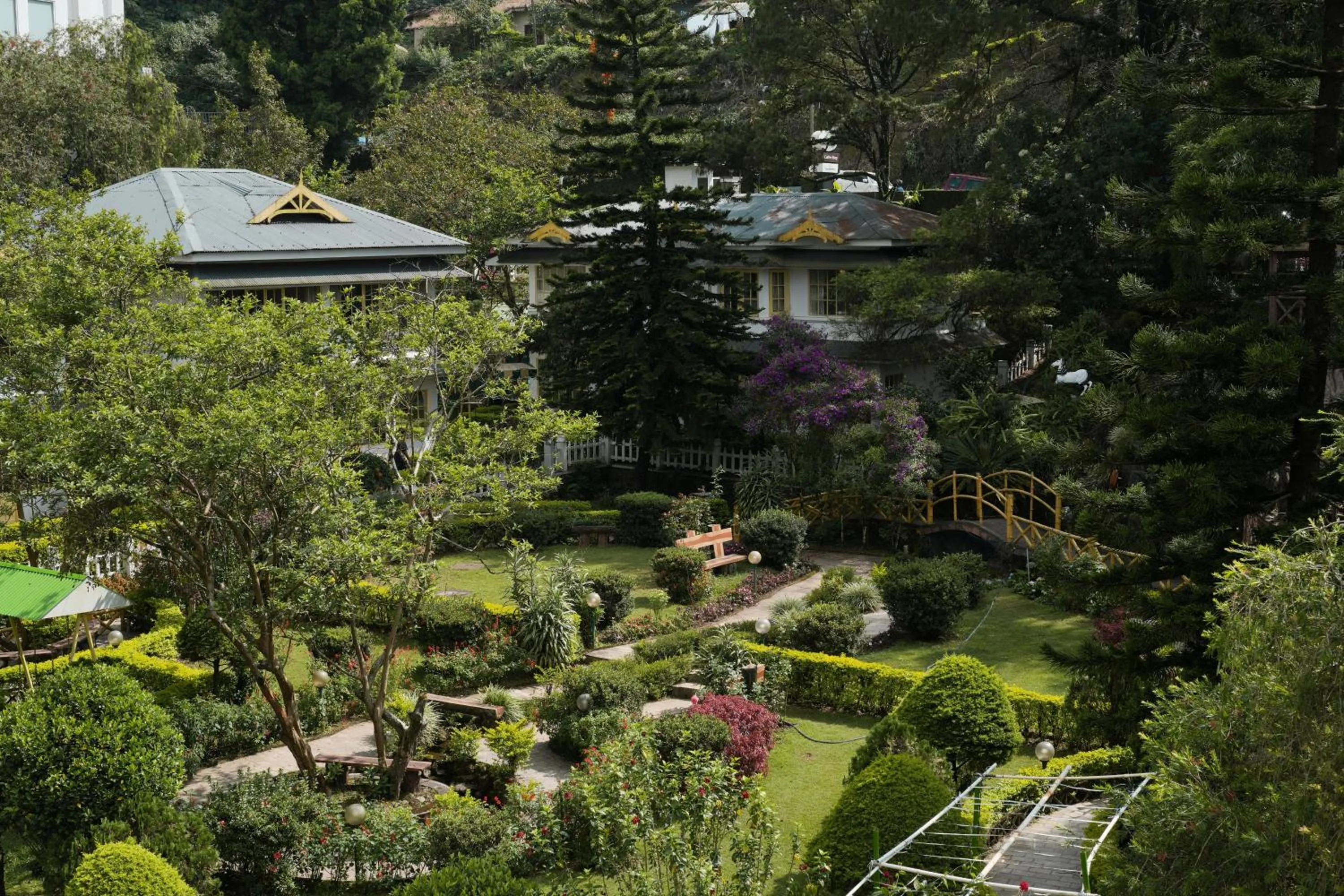 Spring in Eastend Munnar