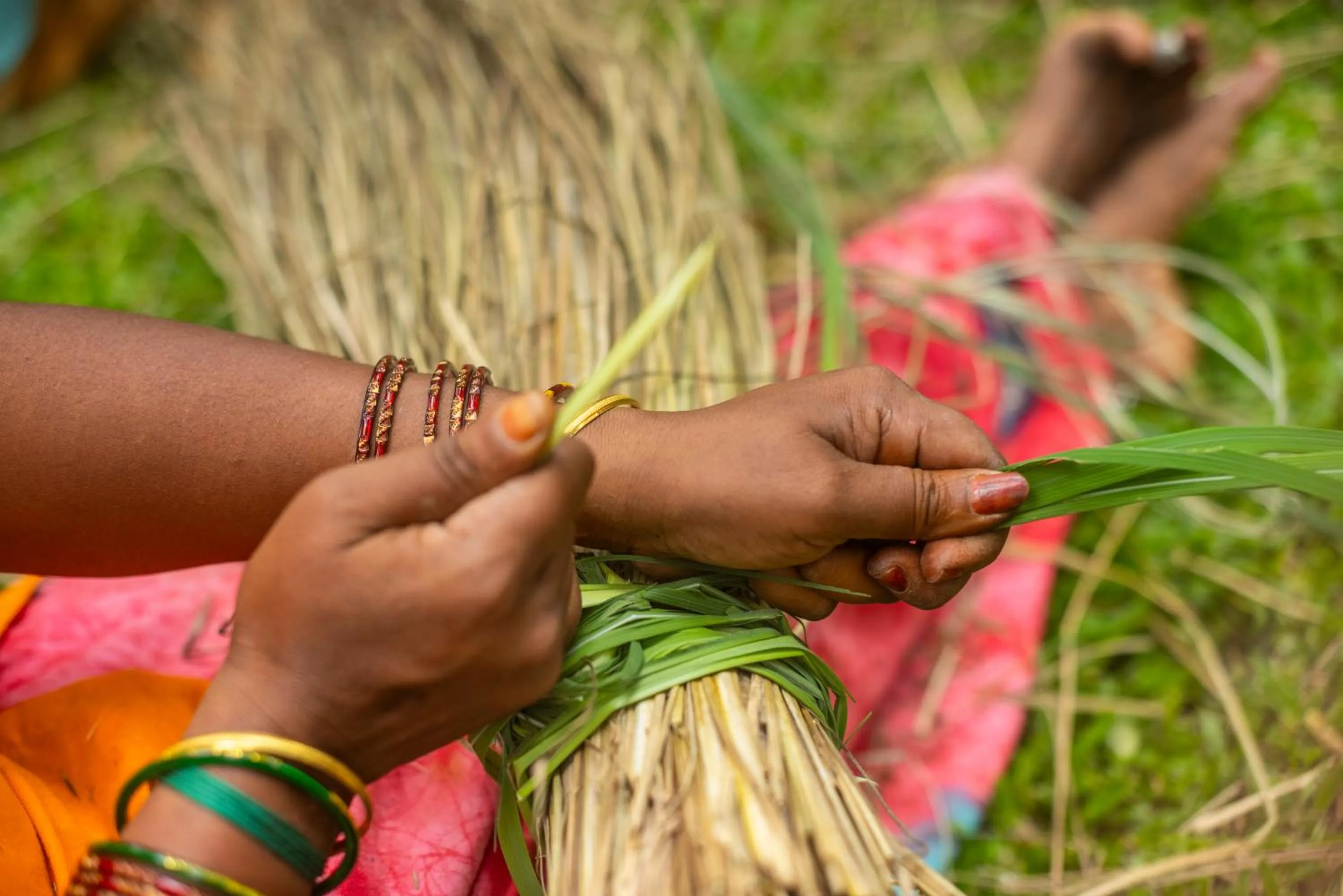 Day in Spice Village Thekkady - A CGH Earth Experience