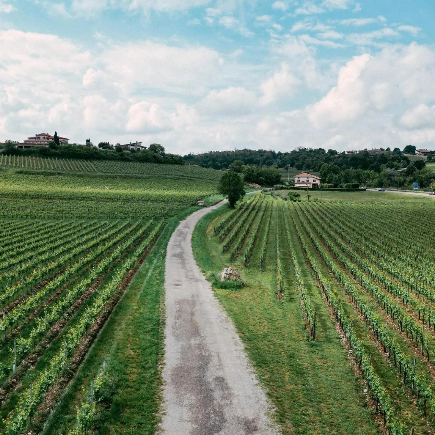 Nearby landmark in La Fonte Hotel