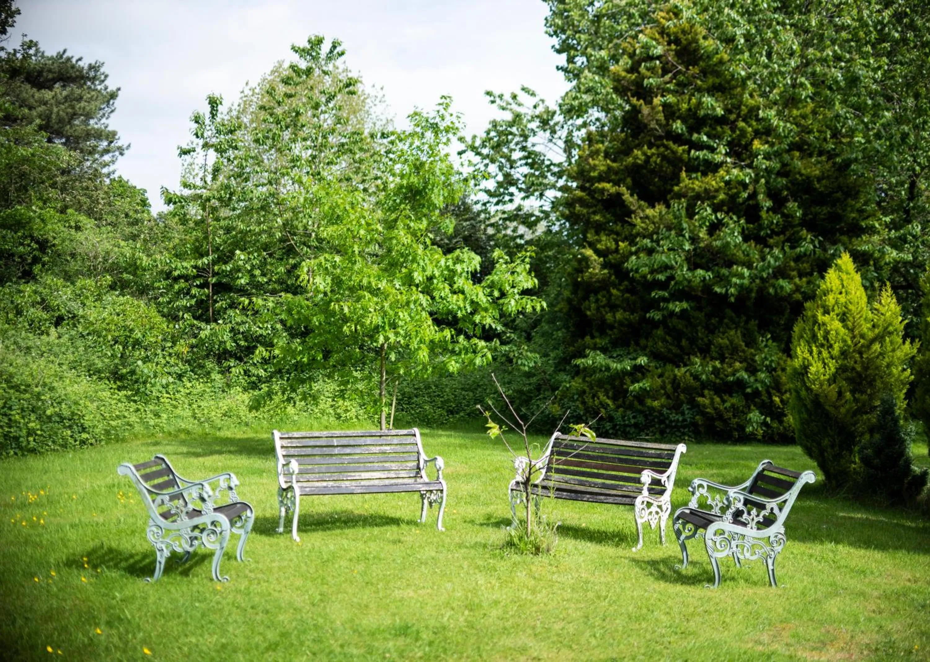 Garden in Statham Lodge Hotel