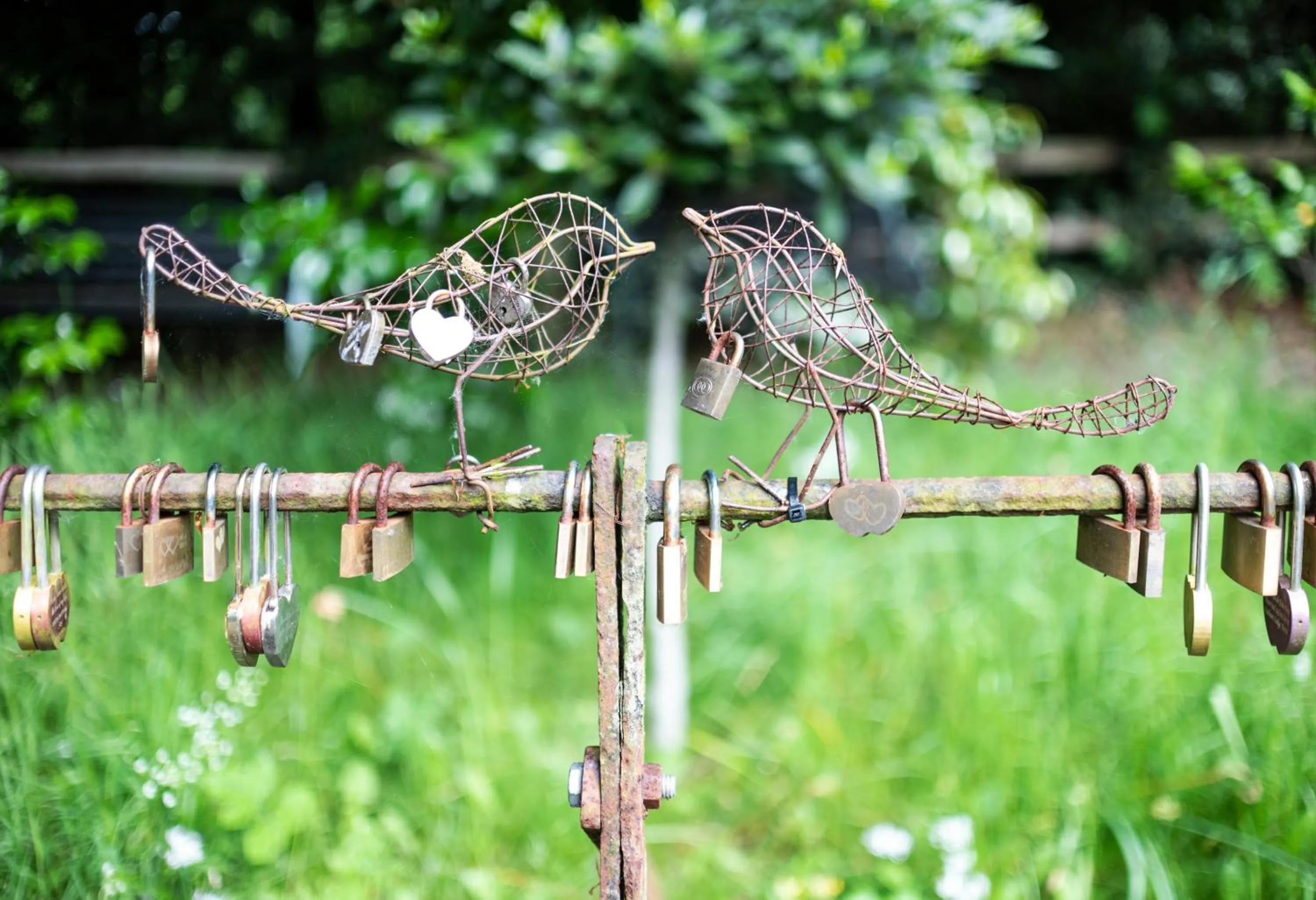Garden in Statham Lodge Hotel