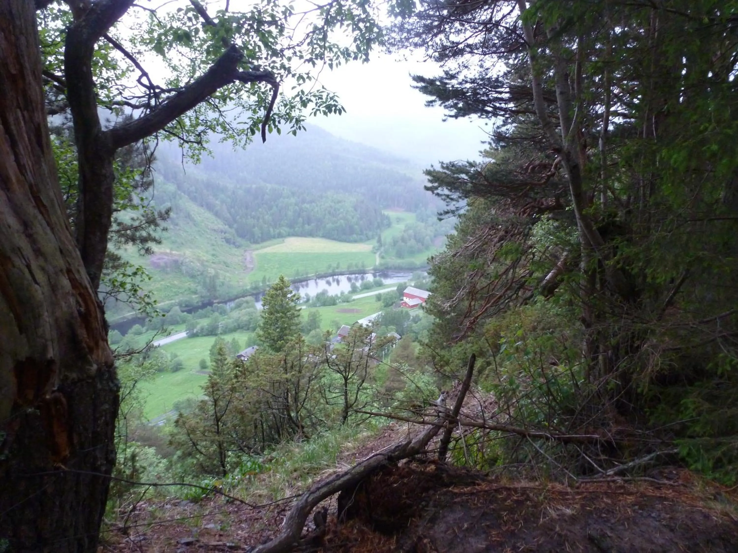 Other in Gjesteheim Havdal