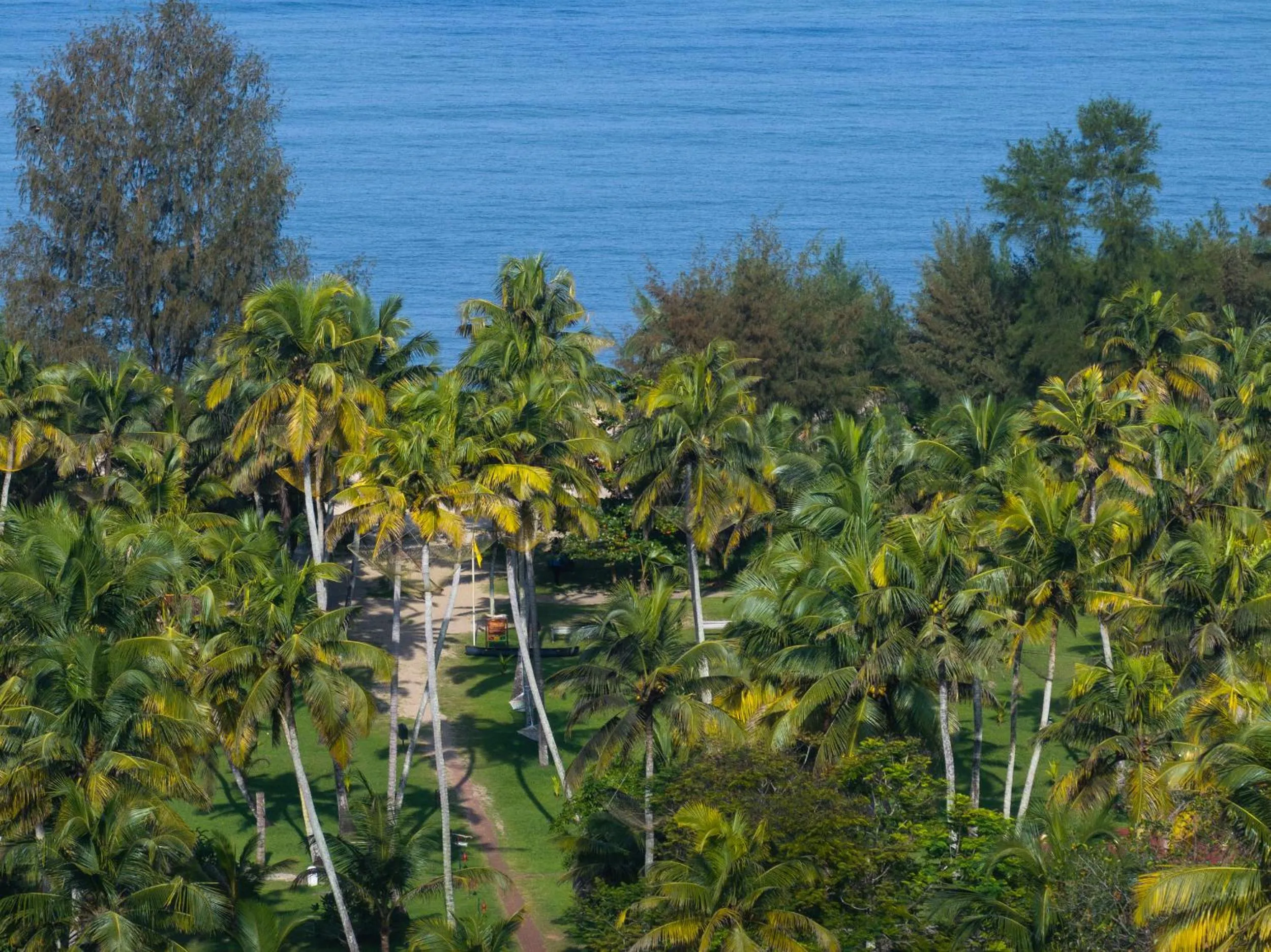 Natural landscape in Marari Beach Resort Alleppey - A CGH Earth Experience