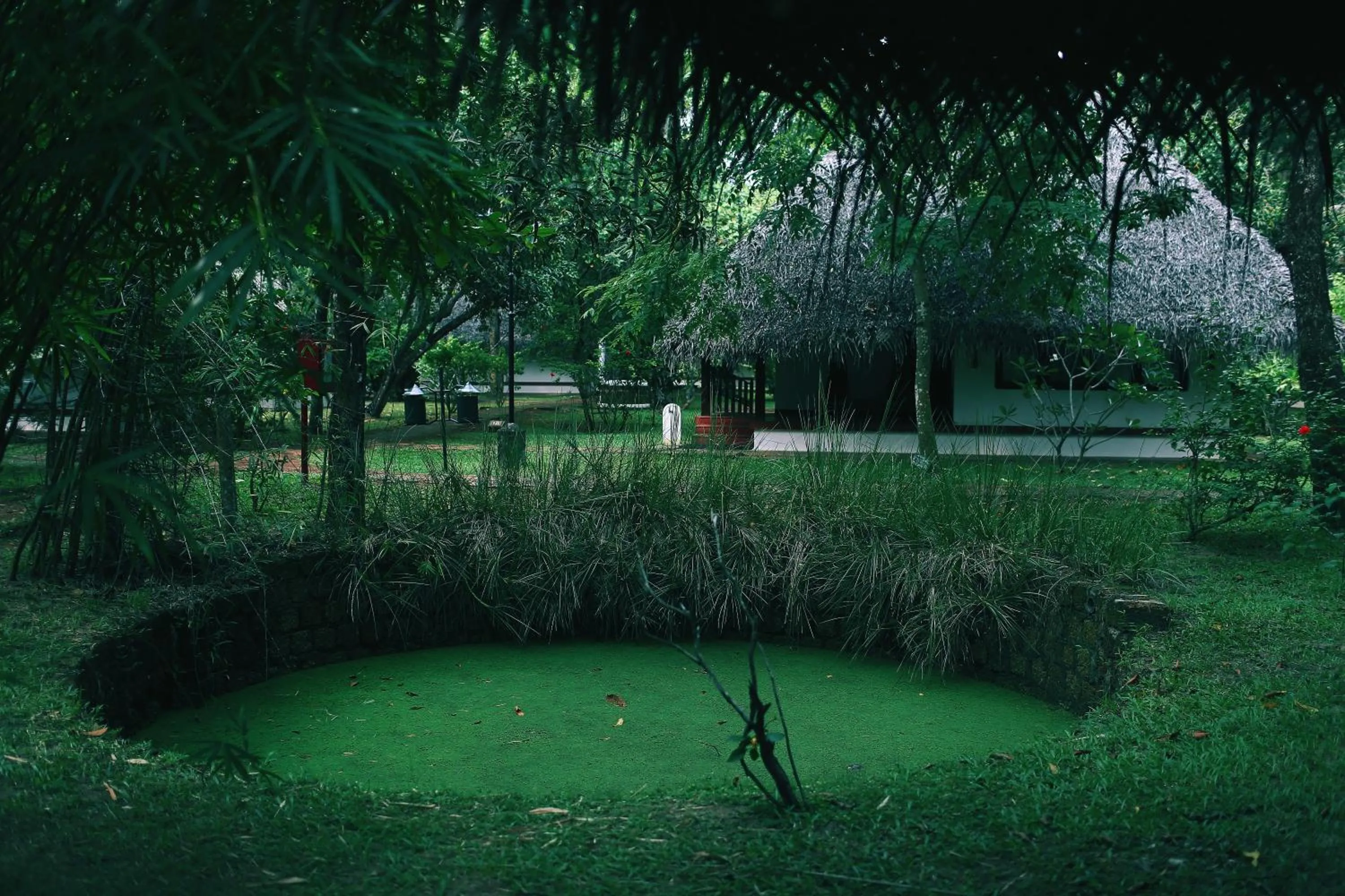Garden in Marari Beach Resort Alleppey - A CGH Earth Experience