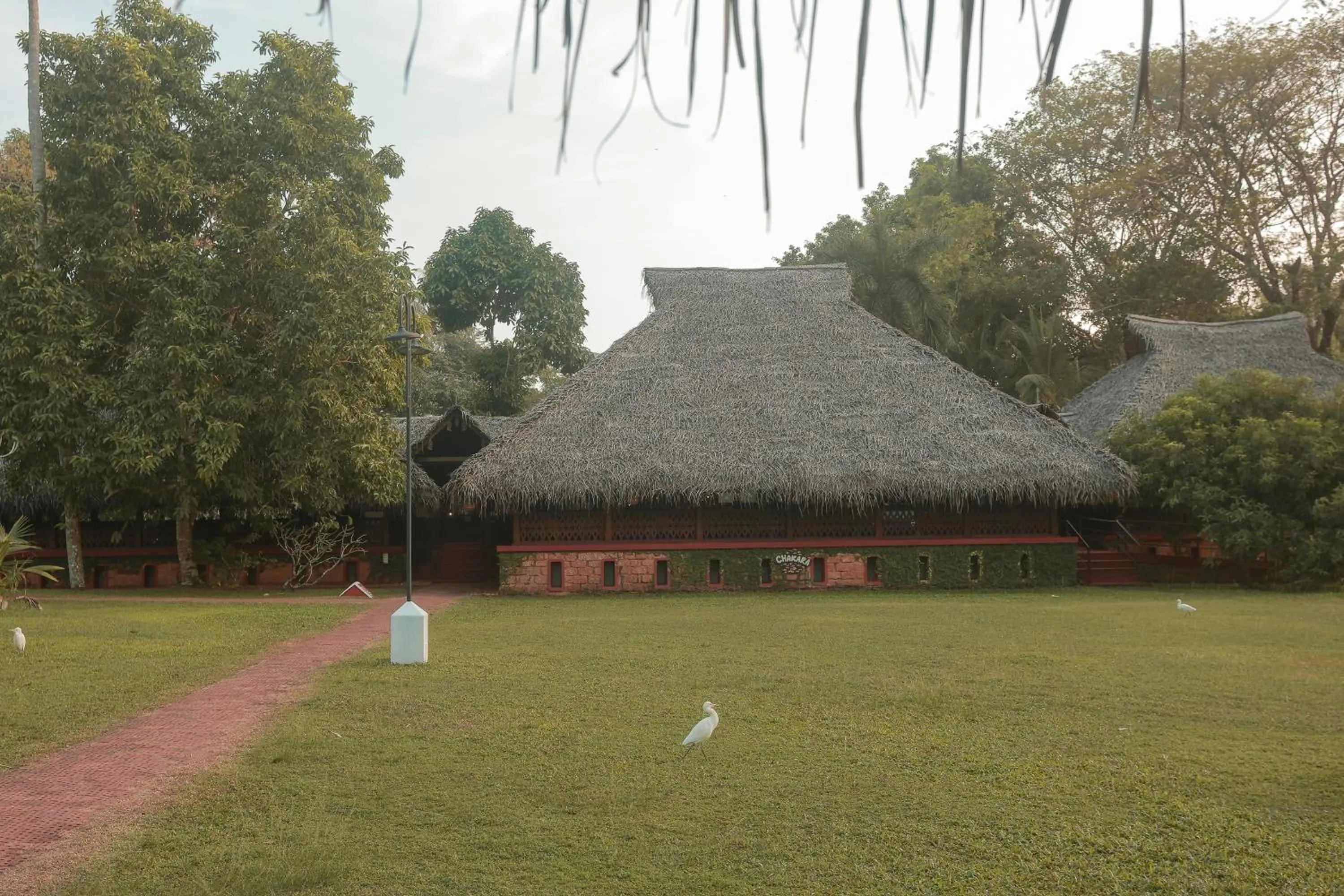 Restaurant/places to eat in Marari Beach Resort Alleppey - A CGH Earth Experience