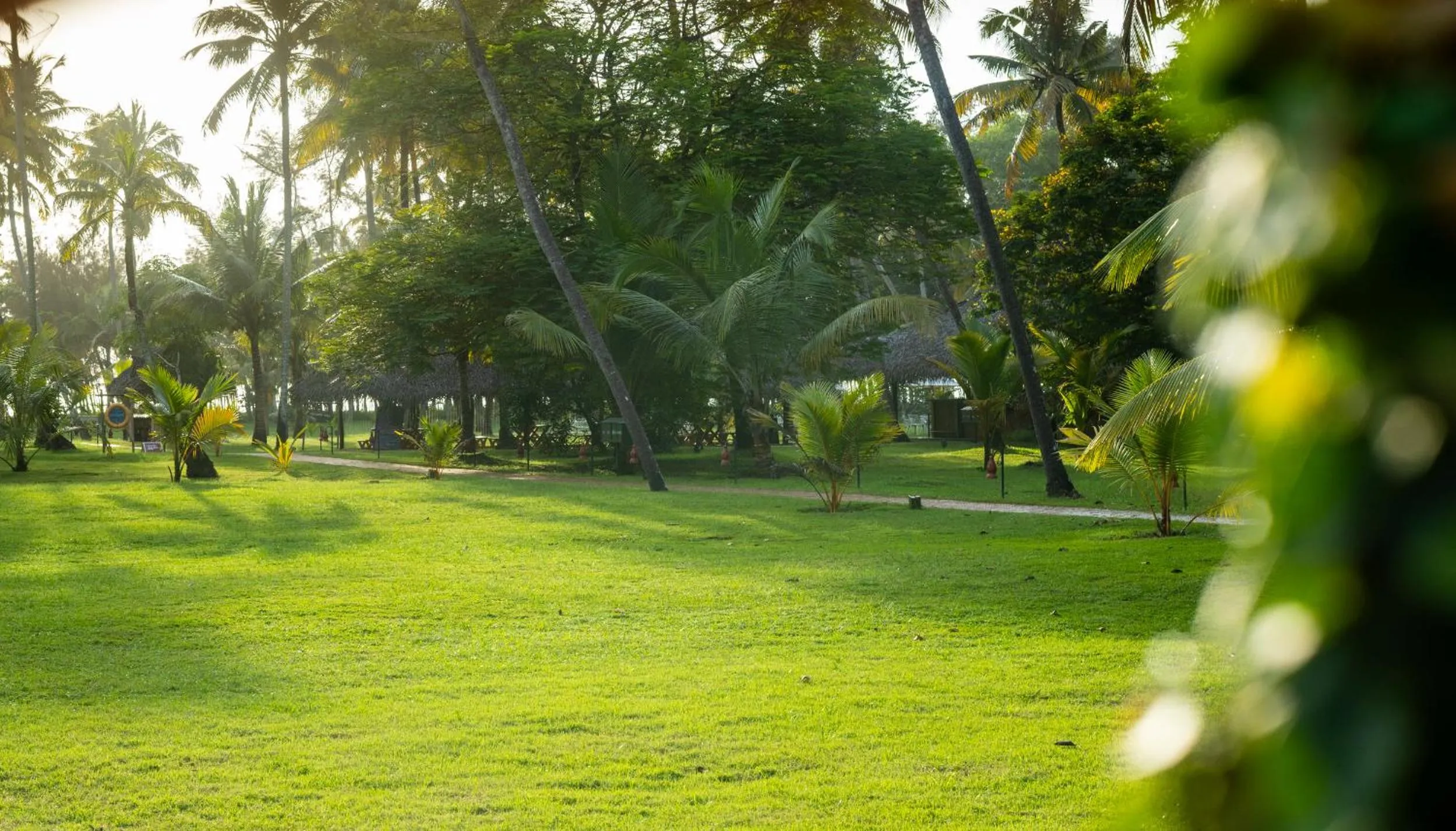 Garden view in Marari Beach Resort Alleppey - A CGH Earth Experience
