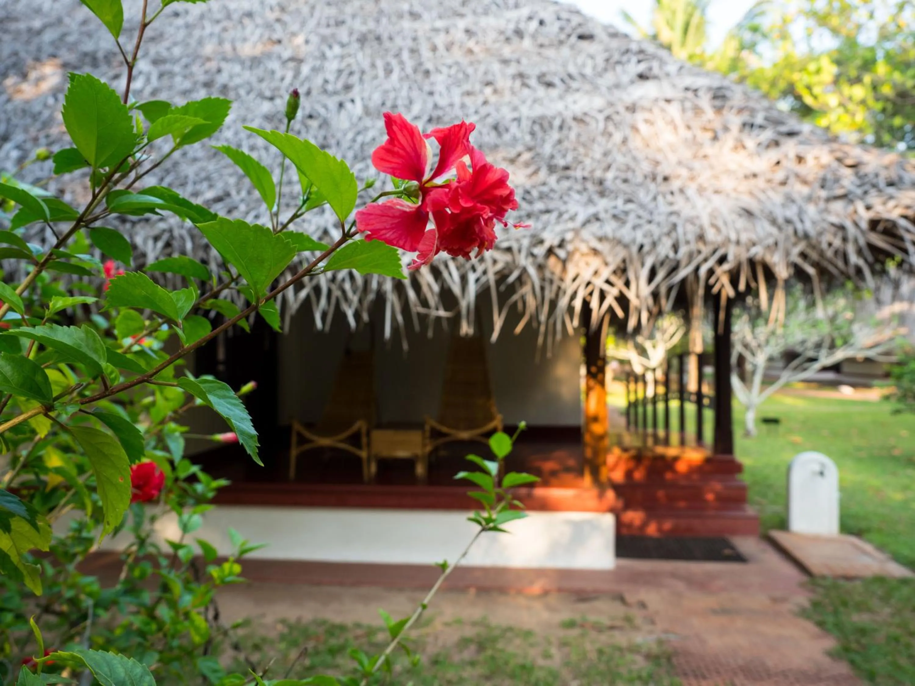 Garden view in Marari Beach Resort Alleppey - A CGH Earth Experience