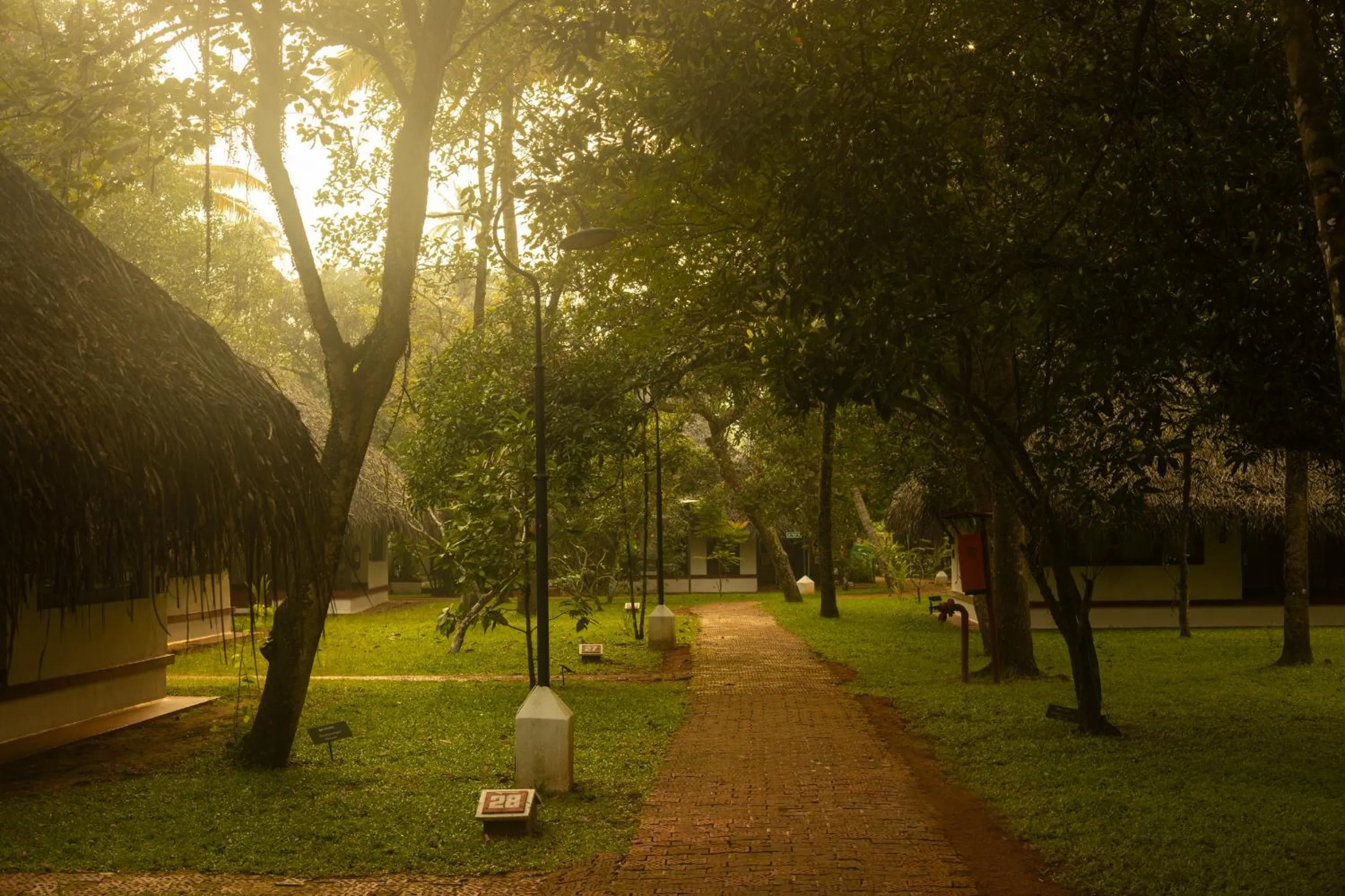 Natural landscape in Marari Beach Resort Alleppey - A CGH Earth Experience
