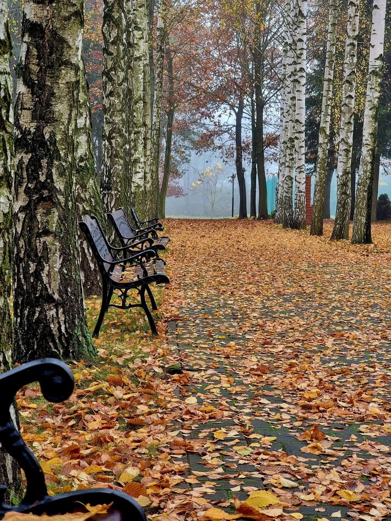 Autumn in Hotel Chabrowy Dworek