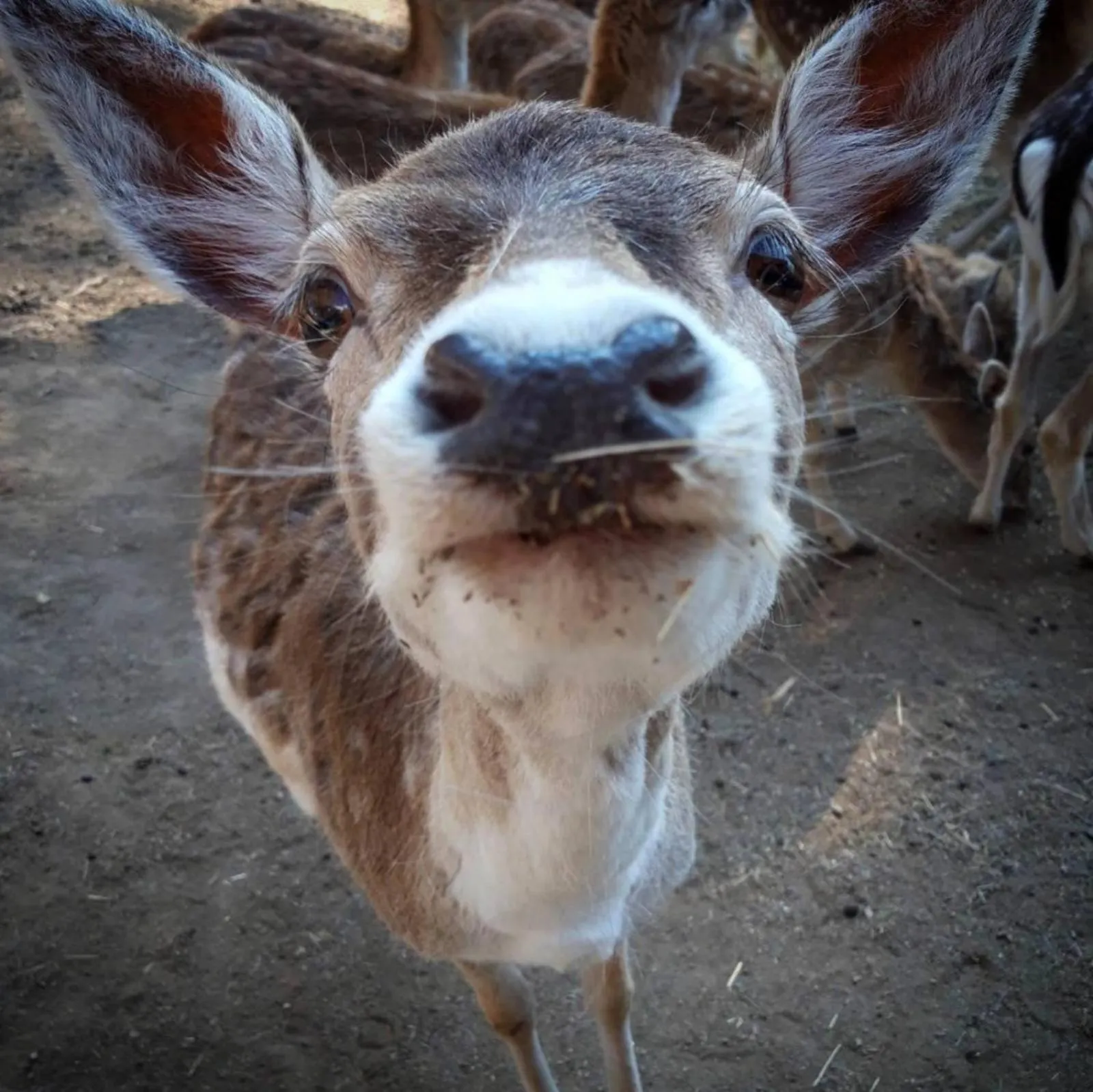 Activities in Aurora Resort & Spa