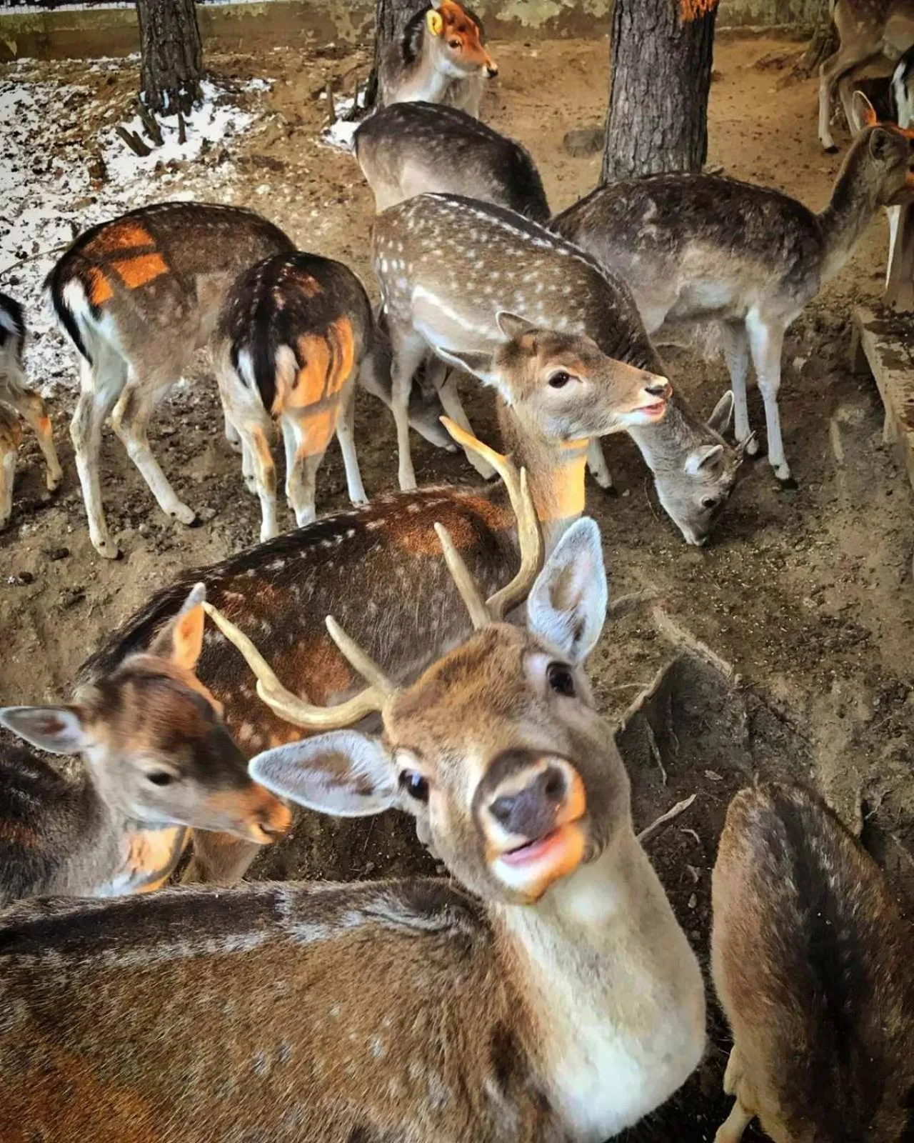 Property building in Aurora Resort & Spa