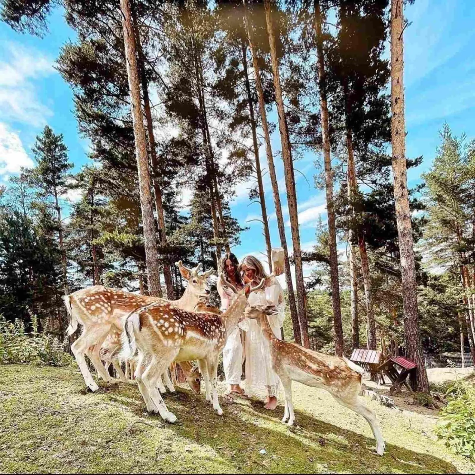 Activities in Aurora Resort & Spa