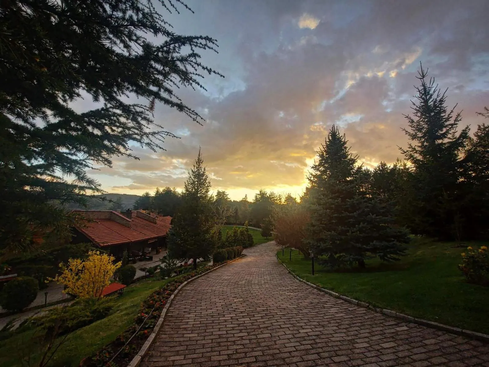 Natural landscape in Aurora Resort & Spa