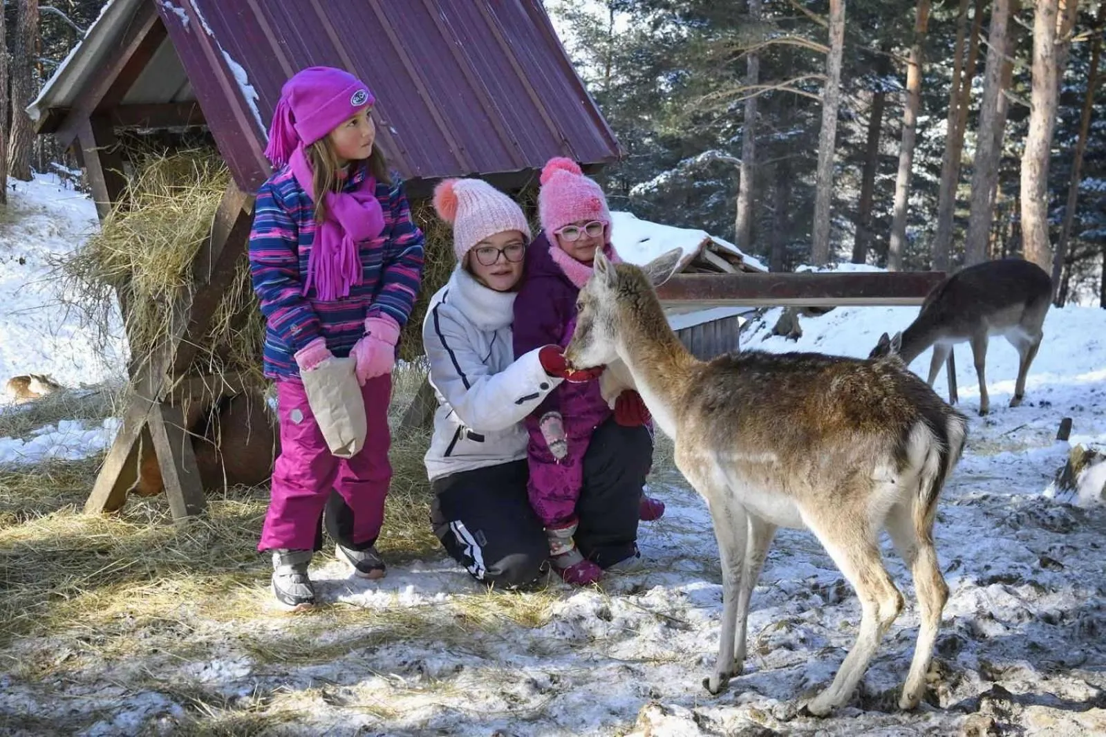 People in Aurora Resort & Spa