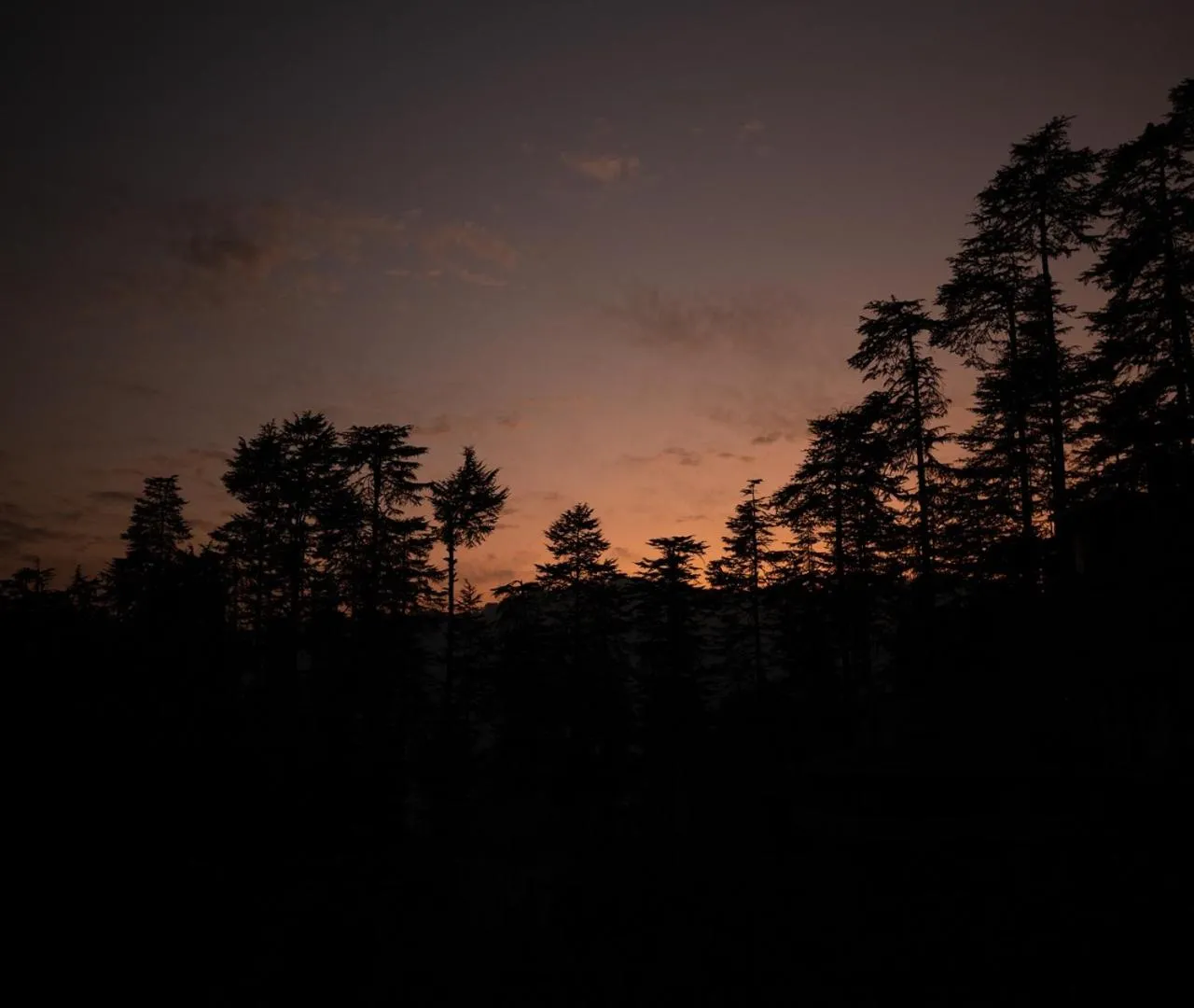 Ishan Log Huts-A boutique home stay