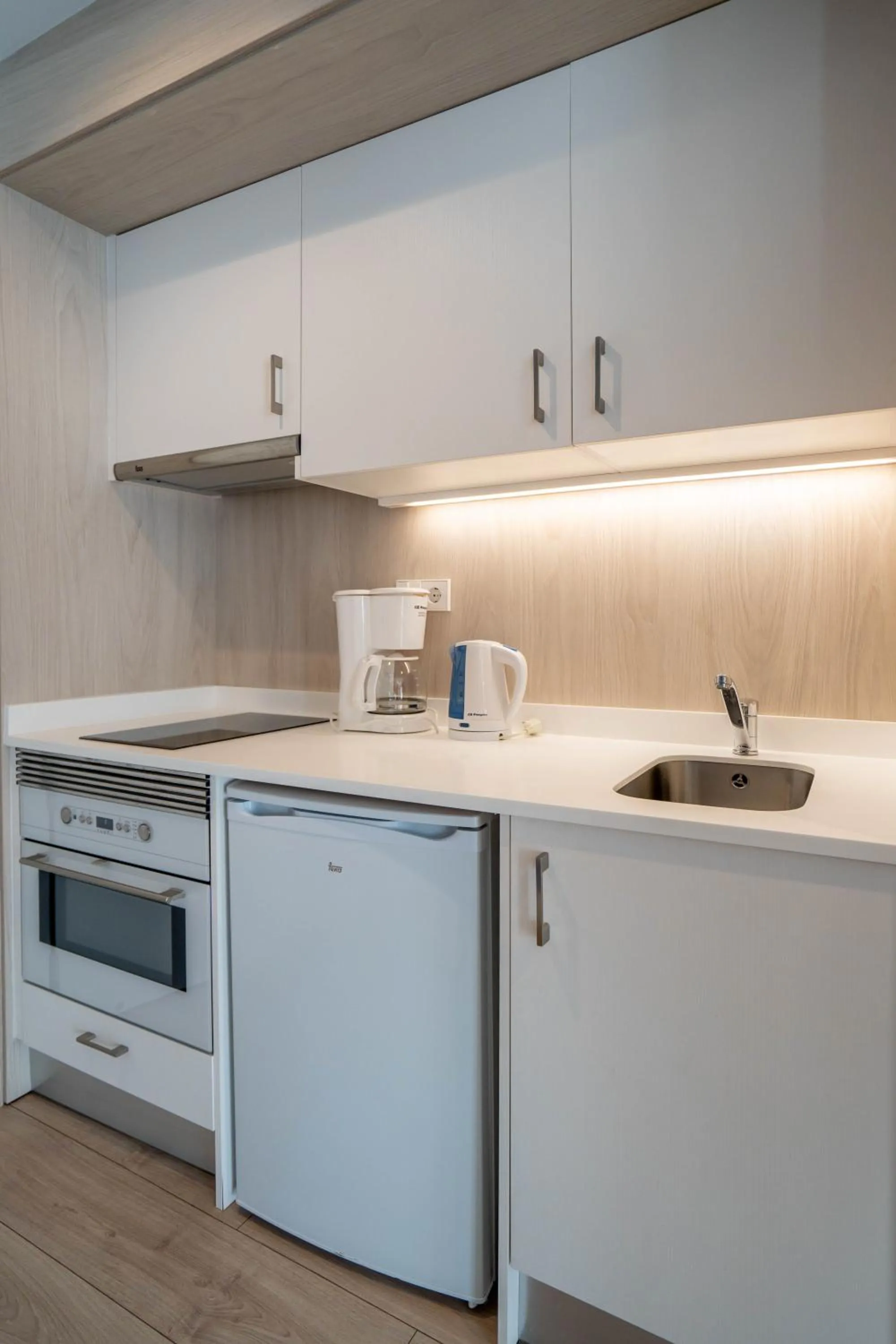 Kitchen or kitchenette in Leman Hotel y Apartamentos