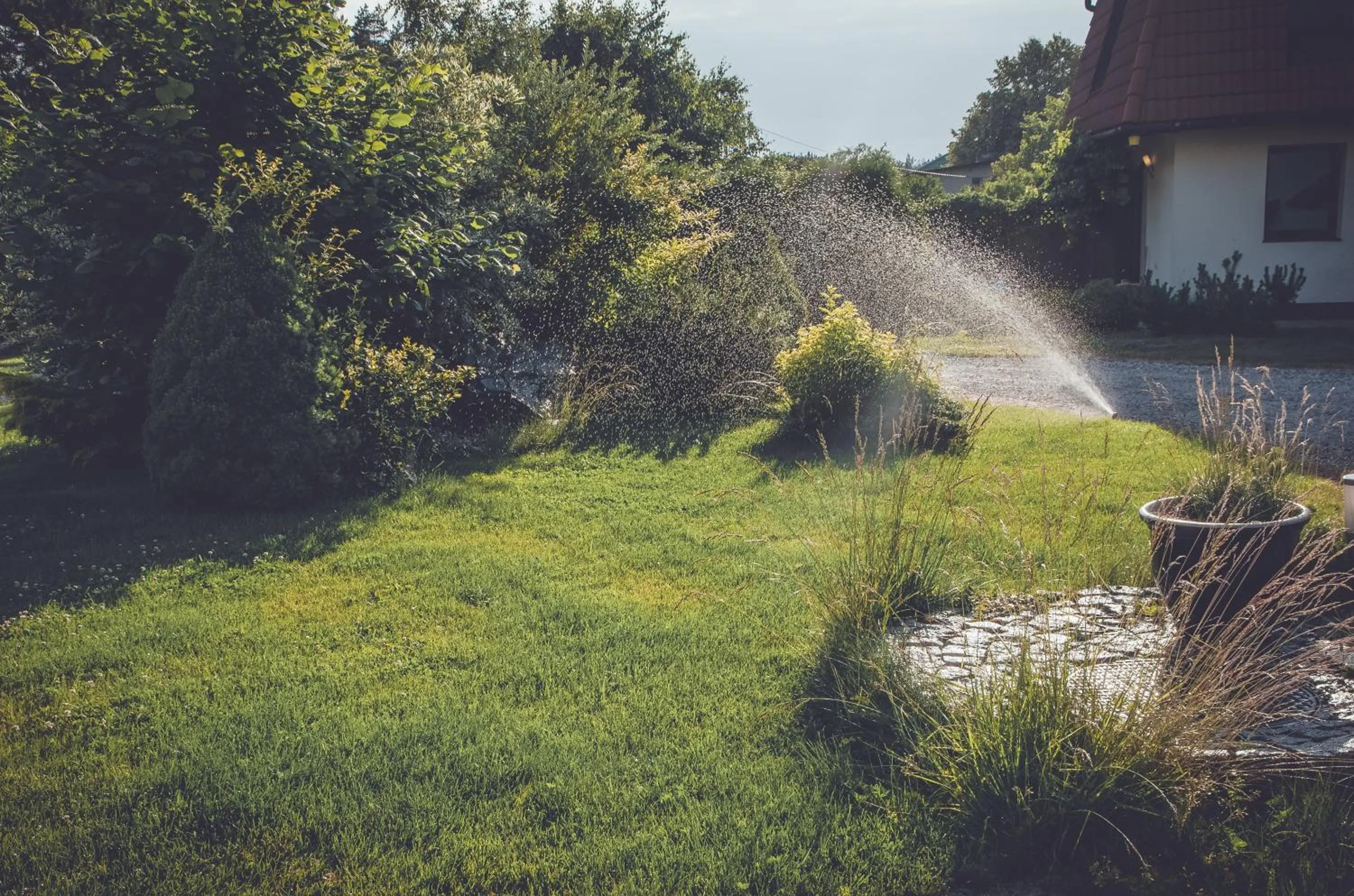 Garden in Hotel Dwa Księżyce
