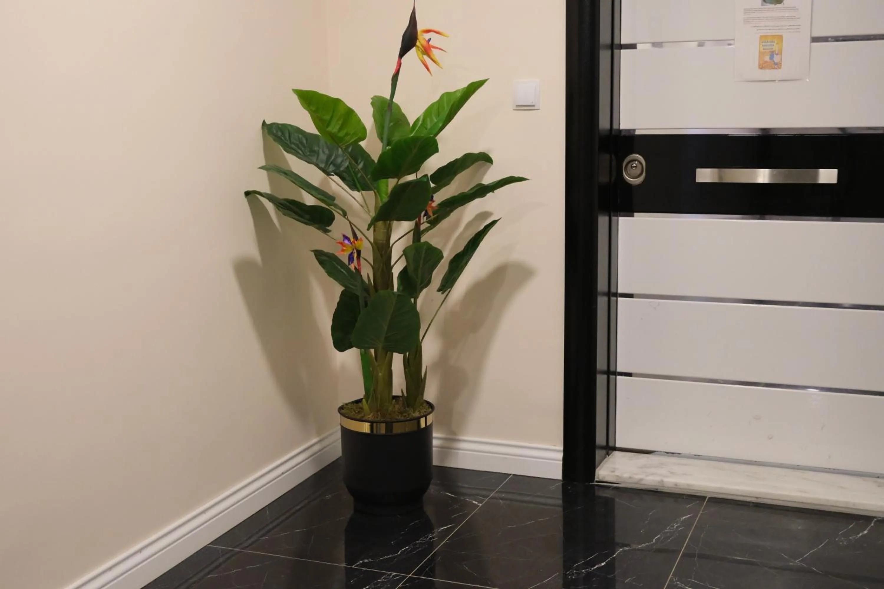 Property building in Şahin Tepesi Suite Otel