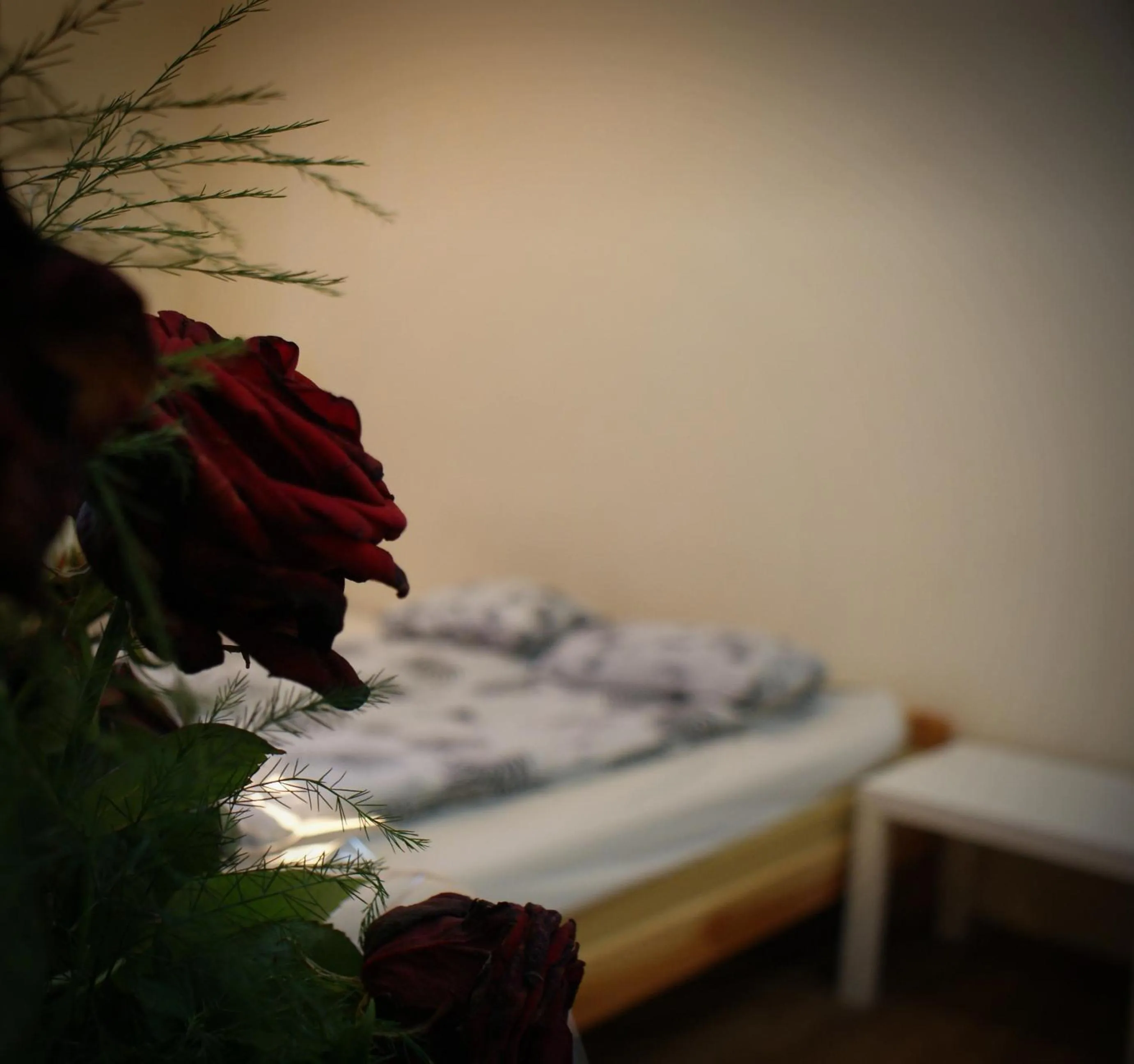 Hostel Krakowskie Klimaty